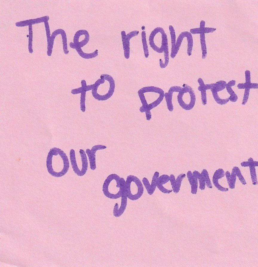 The right ot protest our government