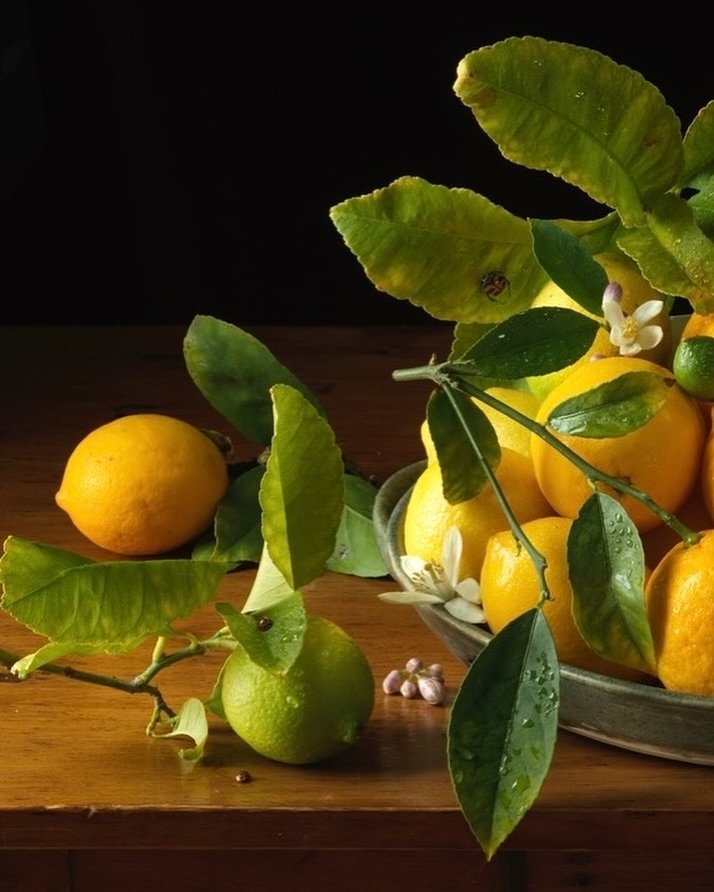 Detail of a new image, Garden Lemons, After G.G., 2024
The Meyer lemons were handpicked from the family&rsquo;s garden in Los Angeles and brought back east. They lasted pretty long in the refrigerator until I was ready to photograph them. The porcela