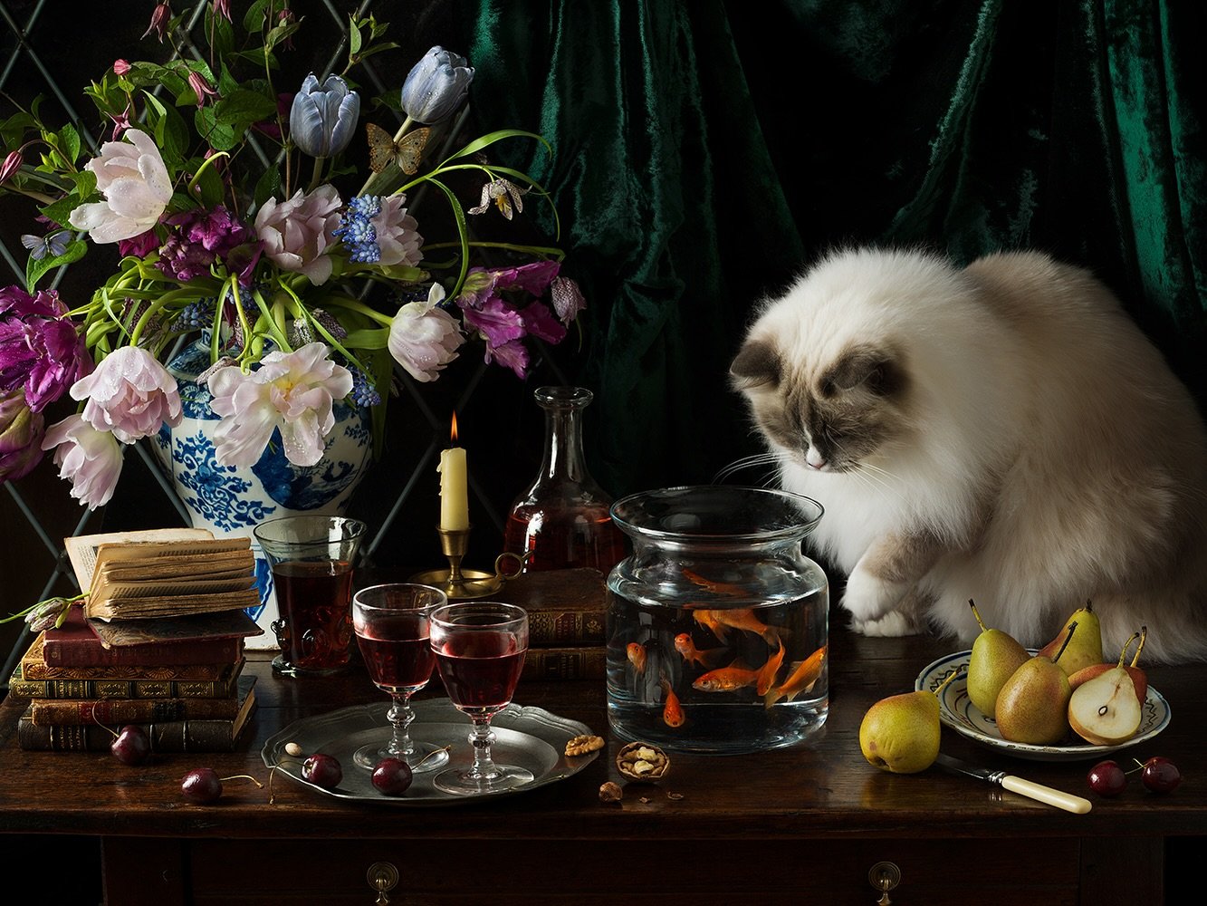 Goldfish and the Cat, 2024 from the new &ldquo;Cat&rdquo; series, both Fellini and Puccini my ragdoll cats loved watching the fish swimming&hellip; but did not want to get their paws wet to catch them! What a challenge shooting cats&hellip; I have ph