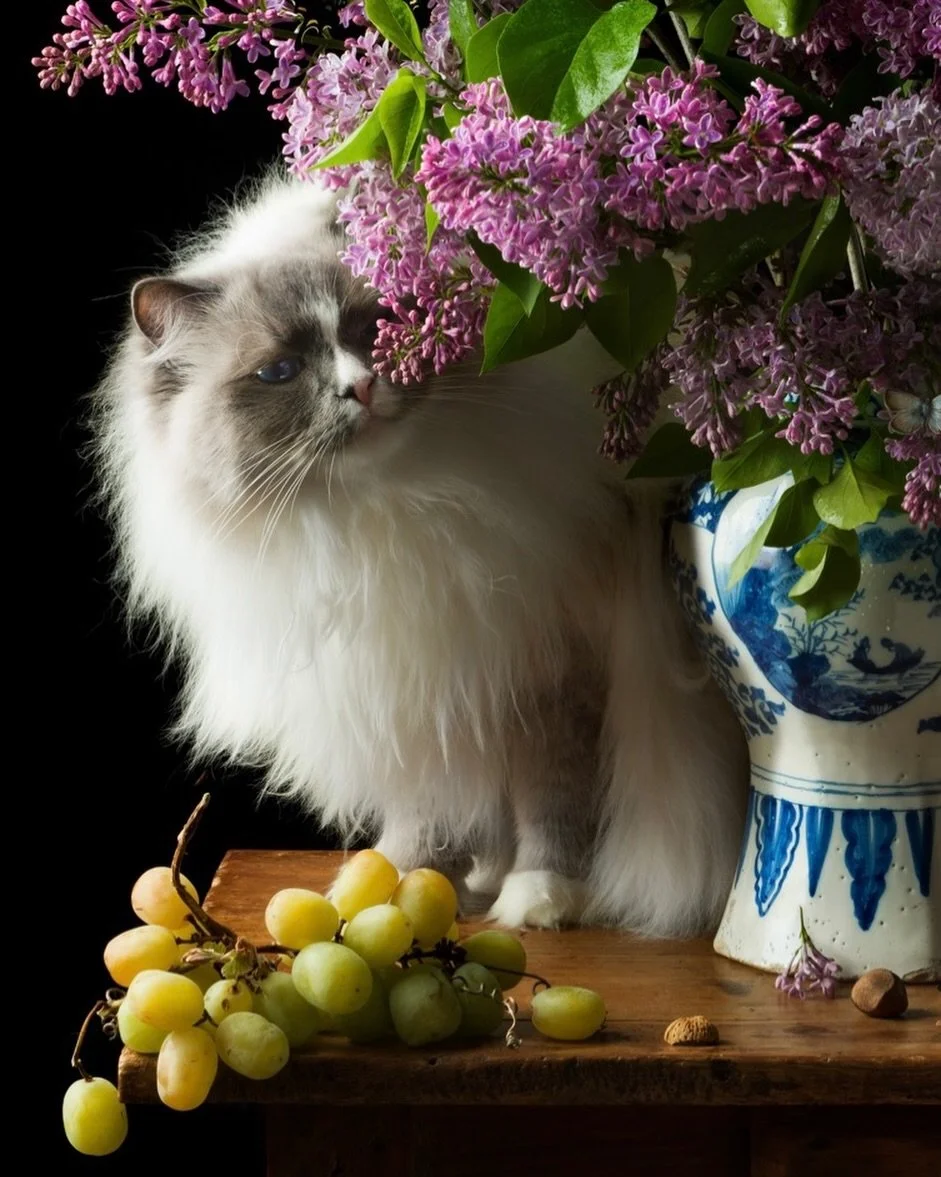 Detail of the other side of Lilacs and the Intruder, 2025 from the &ldquo;Cat&rdquo;series portfolio. Cats were painted in Old Master paintings - always fun to find them. Here the intruder is my ragdoll cat, Fellini who is small enough to fit on the 