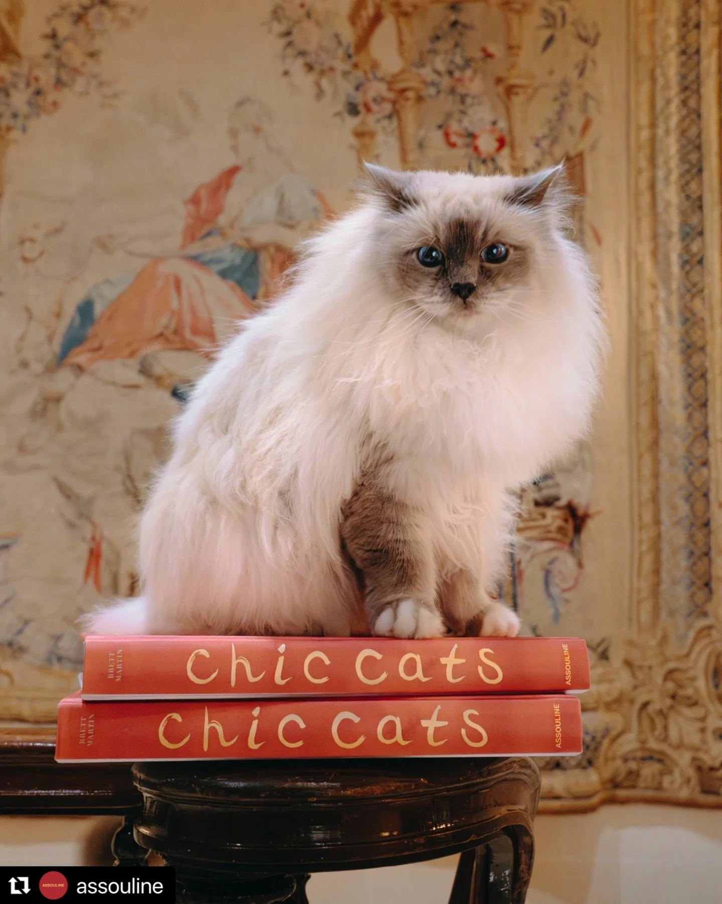 The publisher @maisonassouline has just released their book &ldquo;Chic Cat&rdquo;. I am honored that one of my images in my cat series, Goldfish and the Cat is in the book! Cannot wait to receive their book. I have two Ragdoll cats, @fellini_and_puc