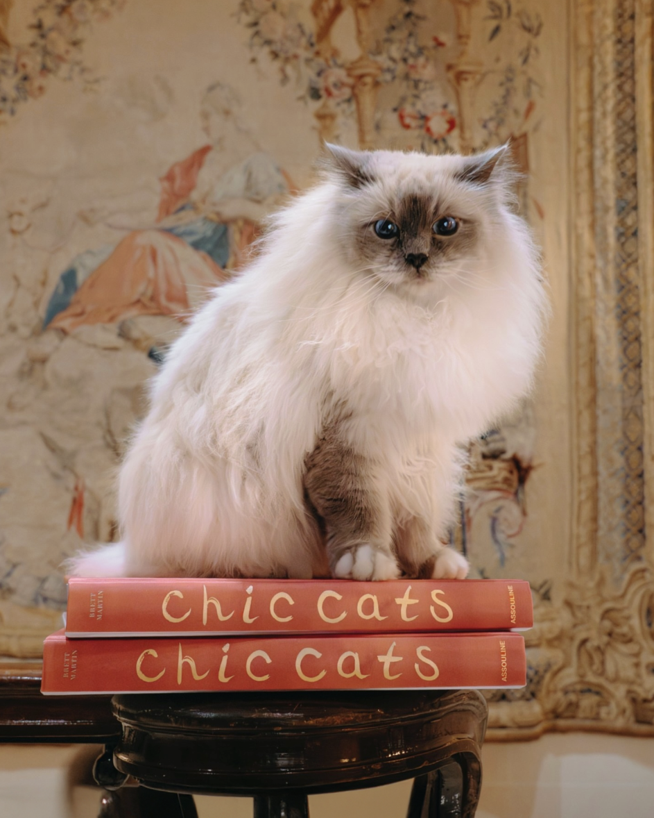 Assouline Chic Cats