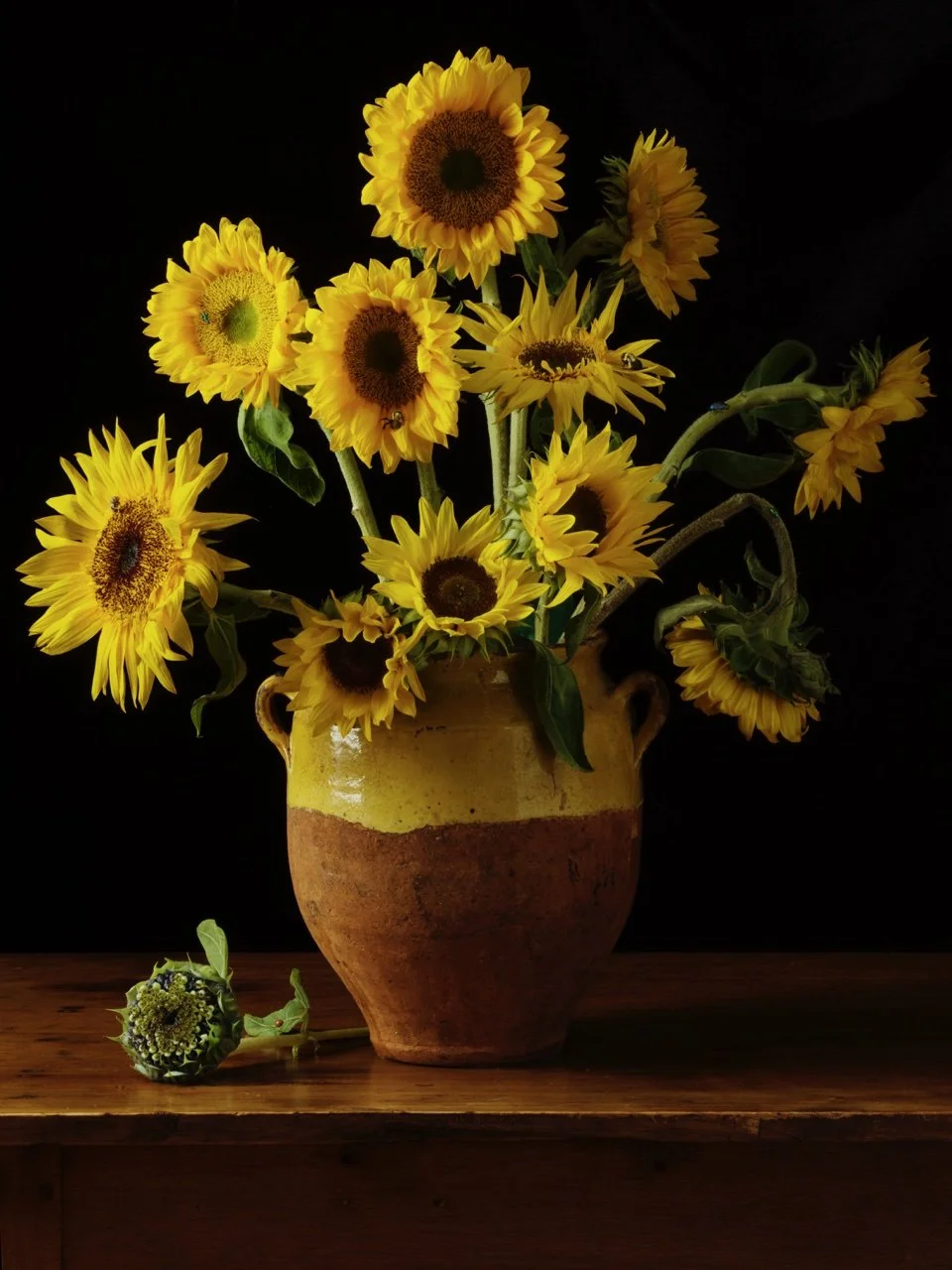 Paulette Tavormina, Sunflowers, After V.V.G., 2025