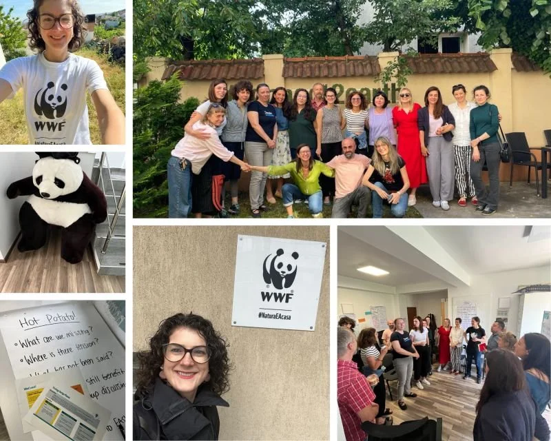WWF RO in person workshops