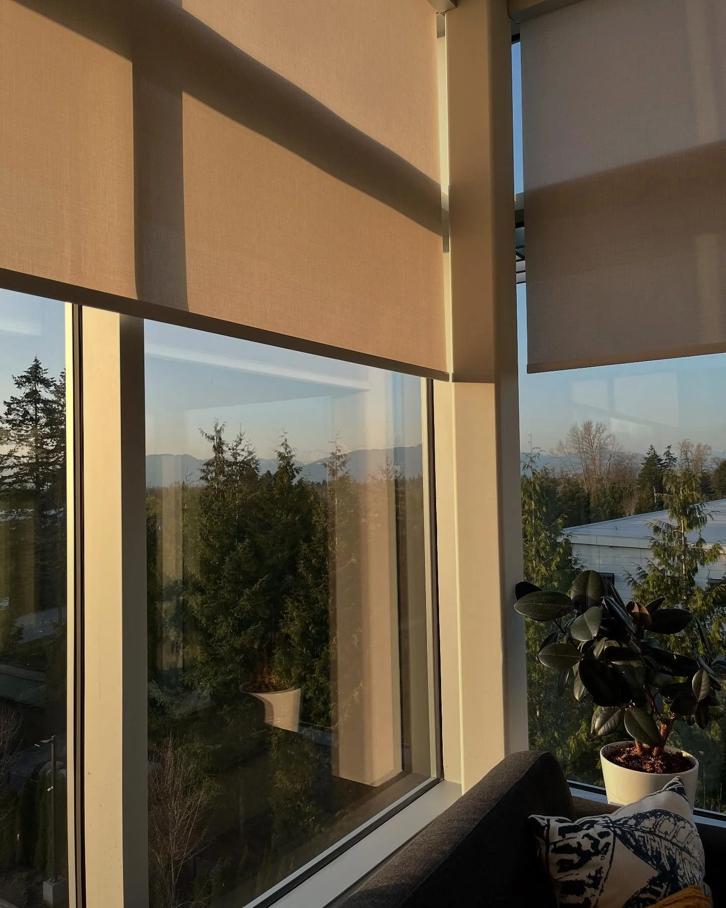 What a gift it is to need to use the blinds 😎 Today, I&rsquo;m thankful for the sun.