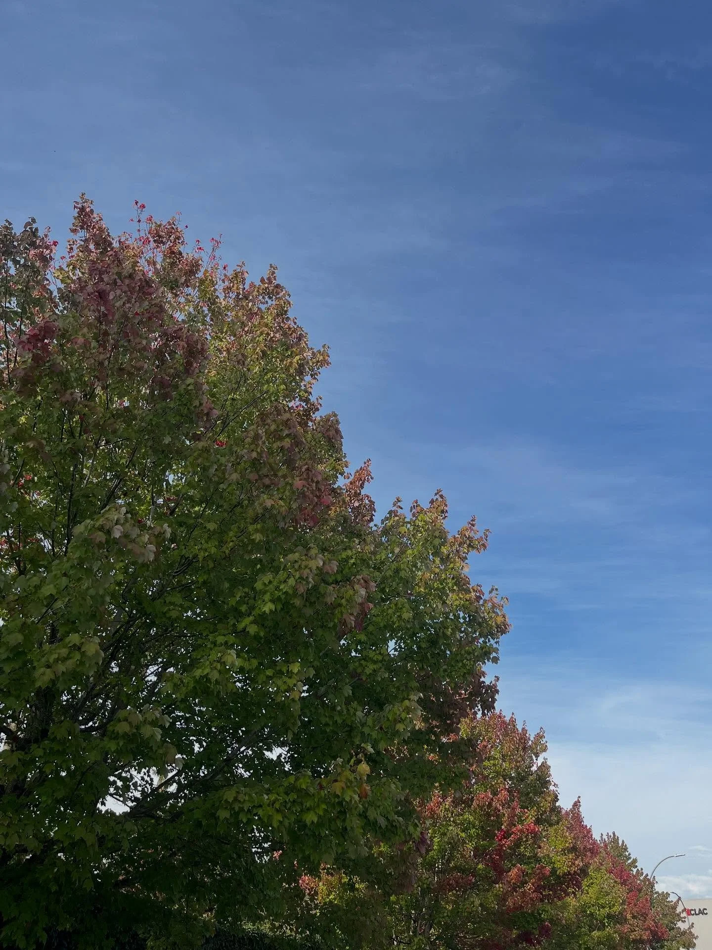 Slowly starting to realize that there miiiight be nothing better than a crispy fall day&hellip; (Summer forever!!!) Here&rsquo;s to seasons changing 🍃🌞🍂