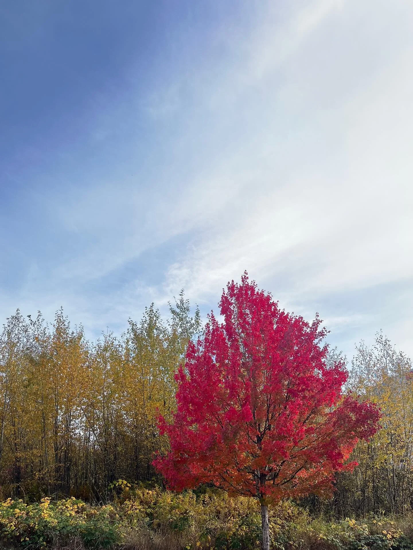 November incoming&hellip; As 2025 starts to wind down, take a breath, go for a walk, and notice what you need as we head into the final stretch of the year.