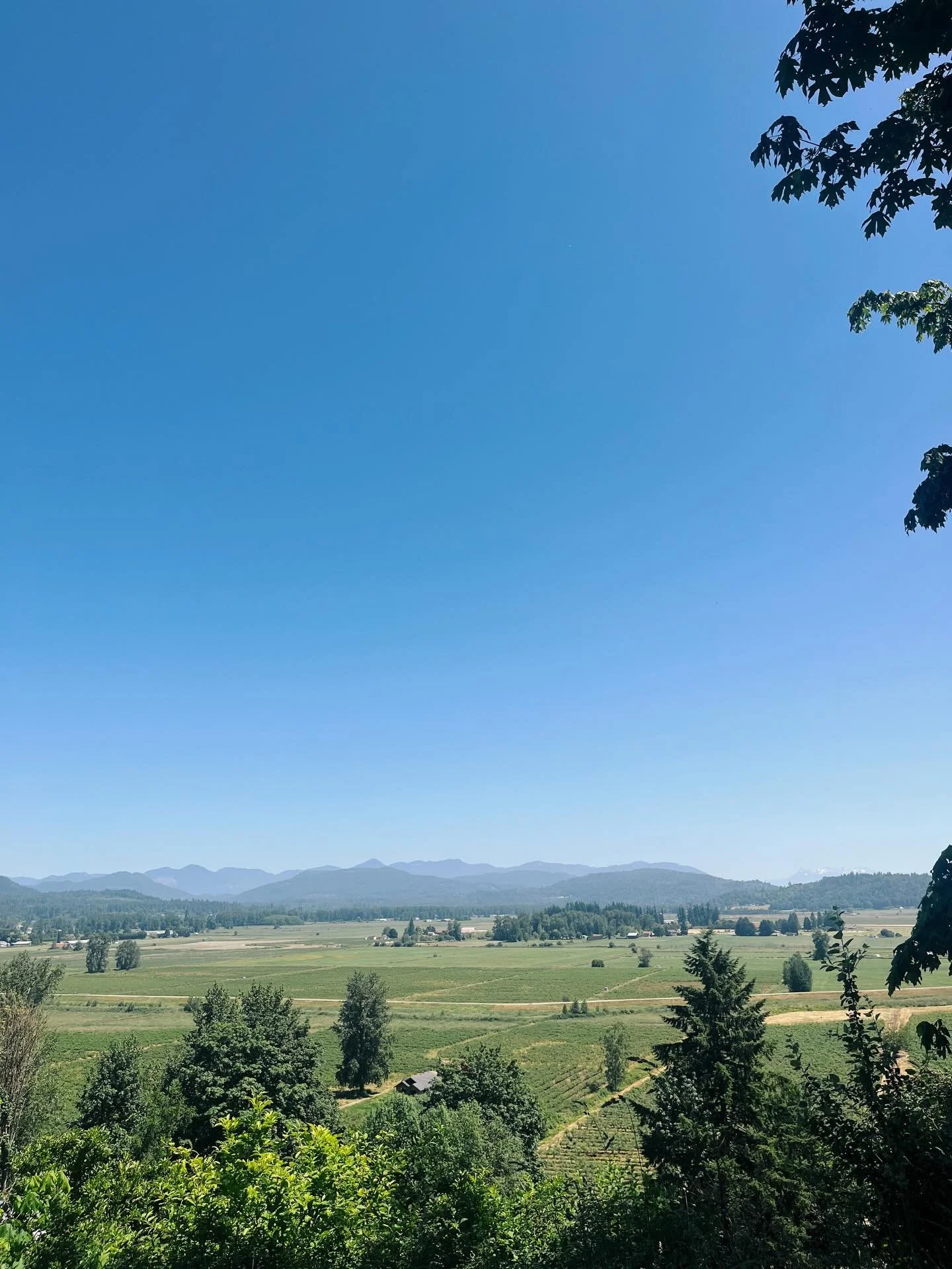 As the end of 2025 approaches, so too does my time working @wagnerhills. It&rsquo;s bittersweet to write this. As I step away from my role at the farm, I&rsquo;ve been reflecting on a few things I&rsquo;ve learned over the past 3.5 years. 

+ there&r