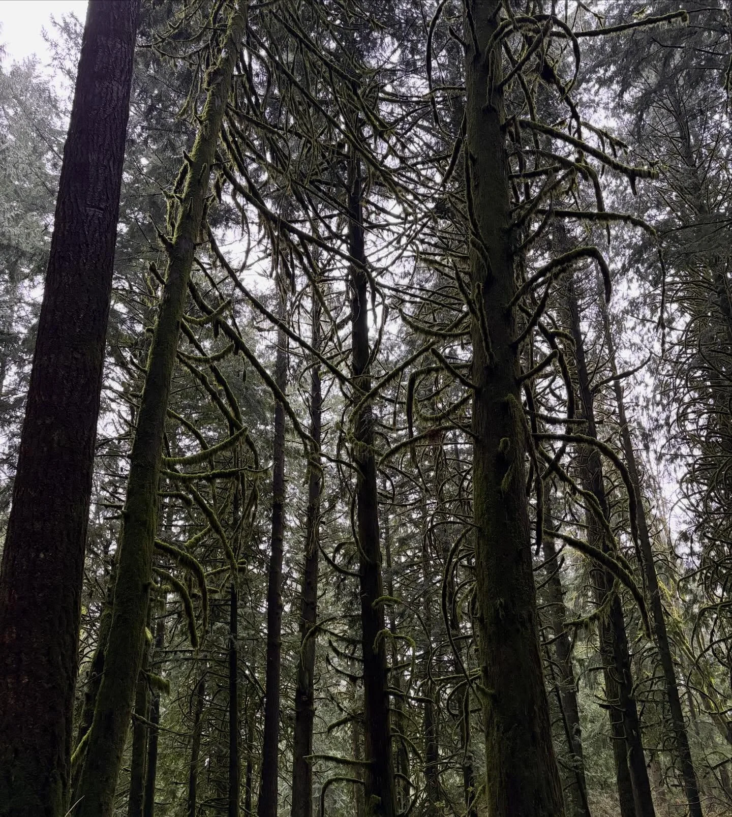 The backdrop for today&rsquo;s adventure sessions 🥾 I love being outdoors as there are metaphors for life everywhere we look.