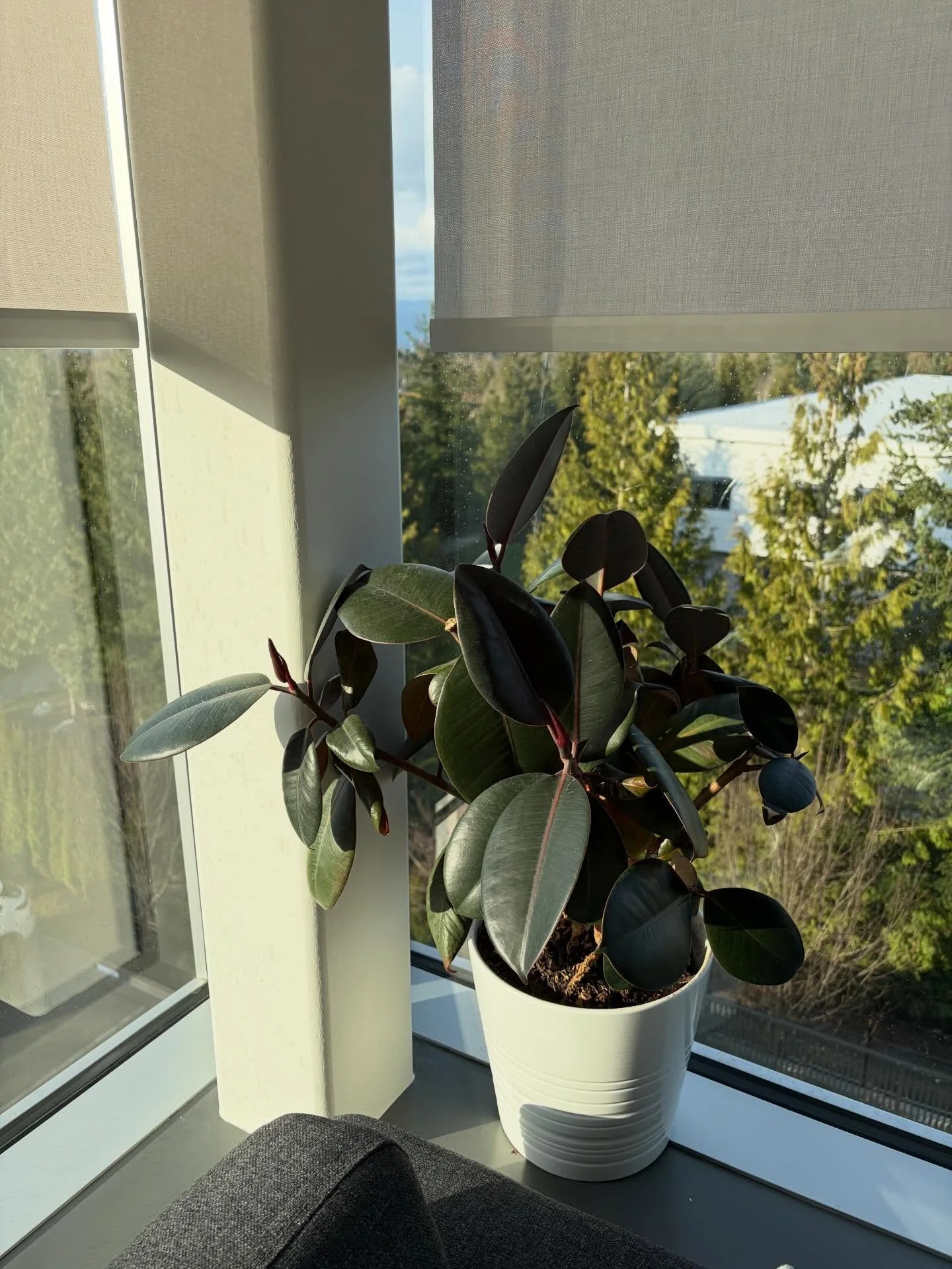 Nothing like some Monday morning sun 🌞 As this new week begins, take what you need. Maybe a reminder to rest, to breathe, to slow down, to move your body, to book the summer camping trip&hellip; or anything/everything in between!