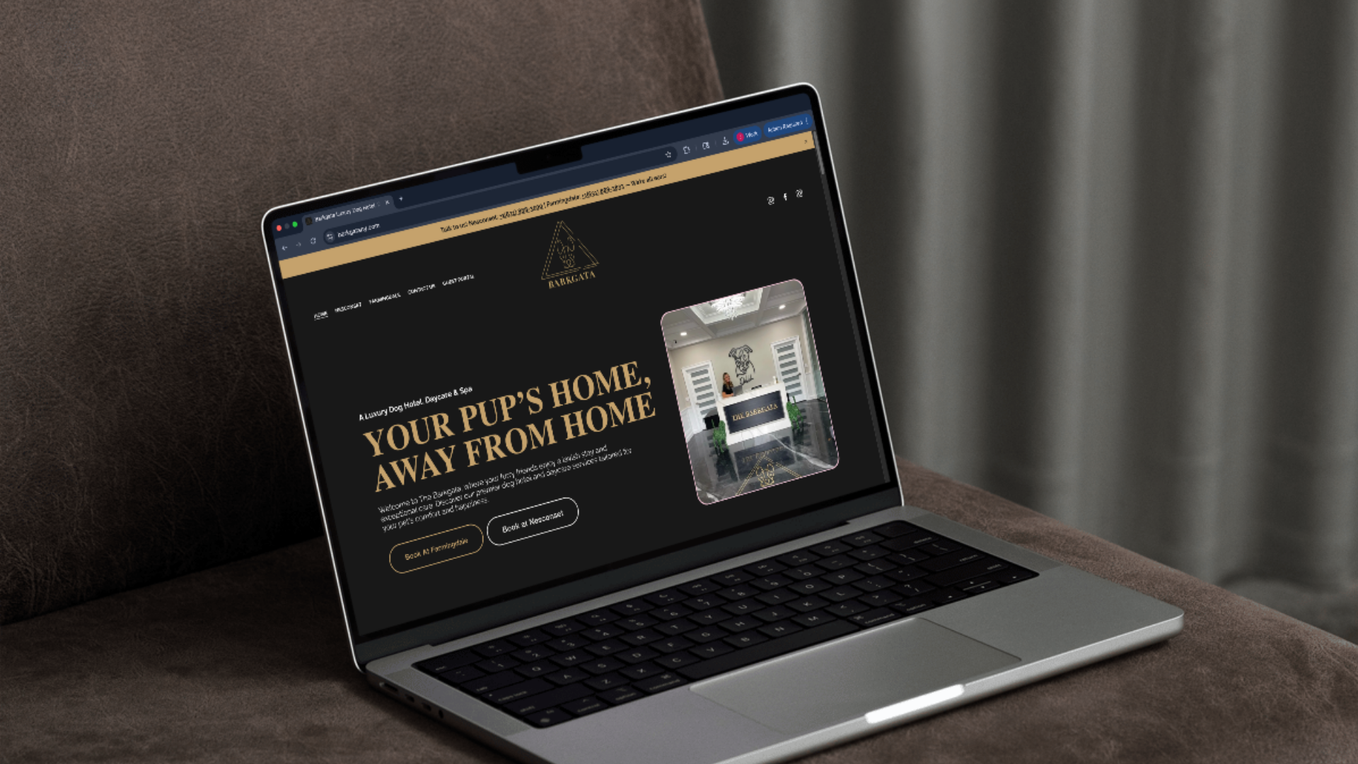 Website Mock.png