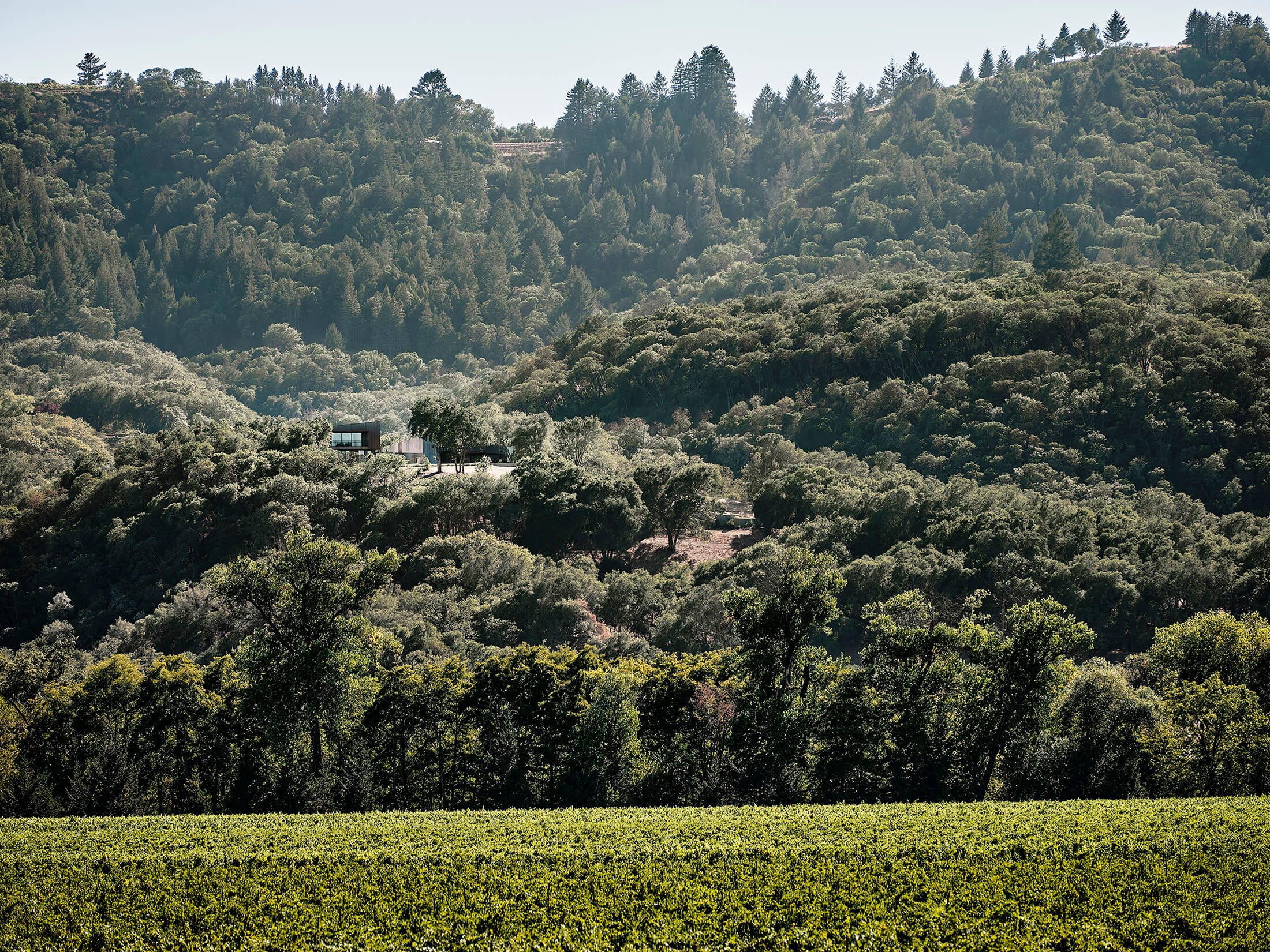 Madrone Ridge residence nestles in the landscape