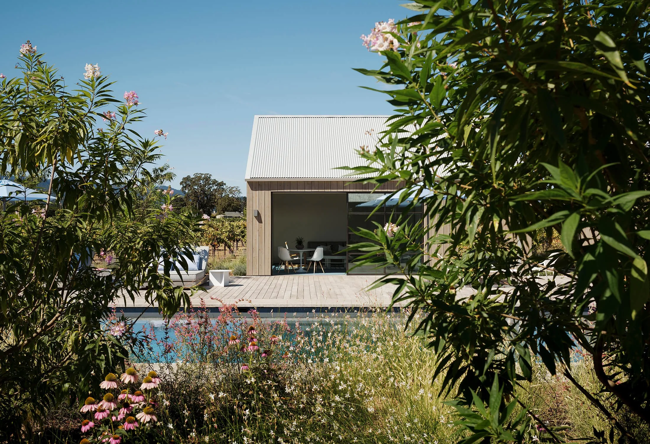 Zinfandel residence poolhouse