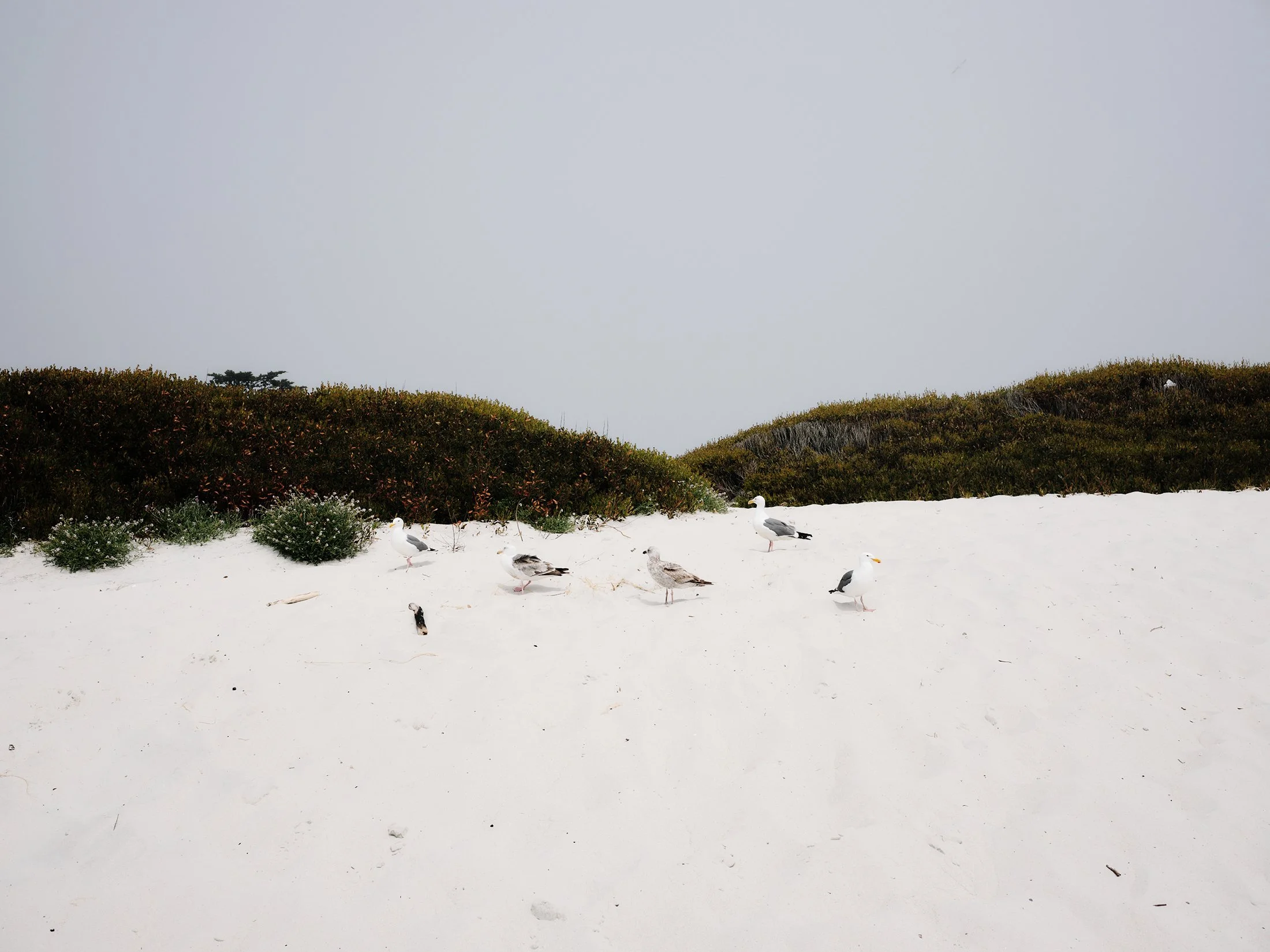 White Sands residence on Carmel beach
