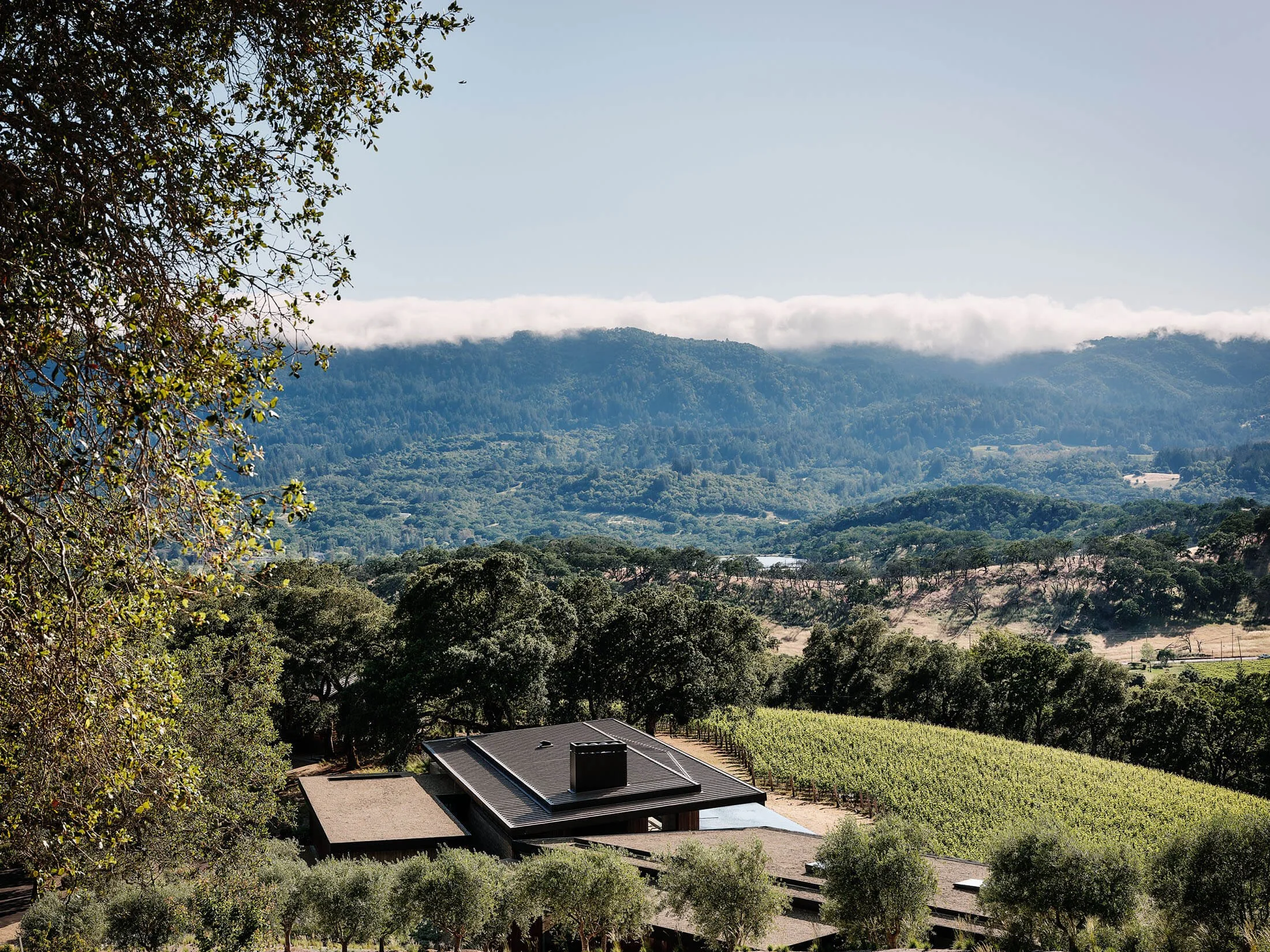 12 Moons Sonoma residence in landscape