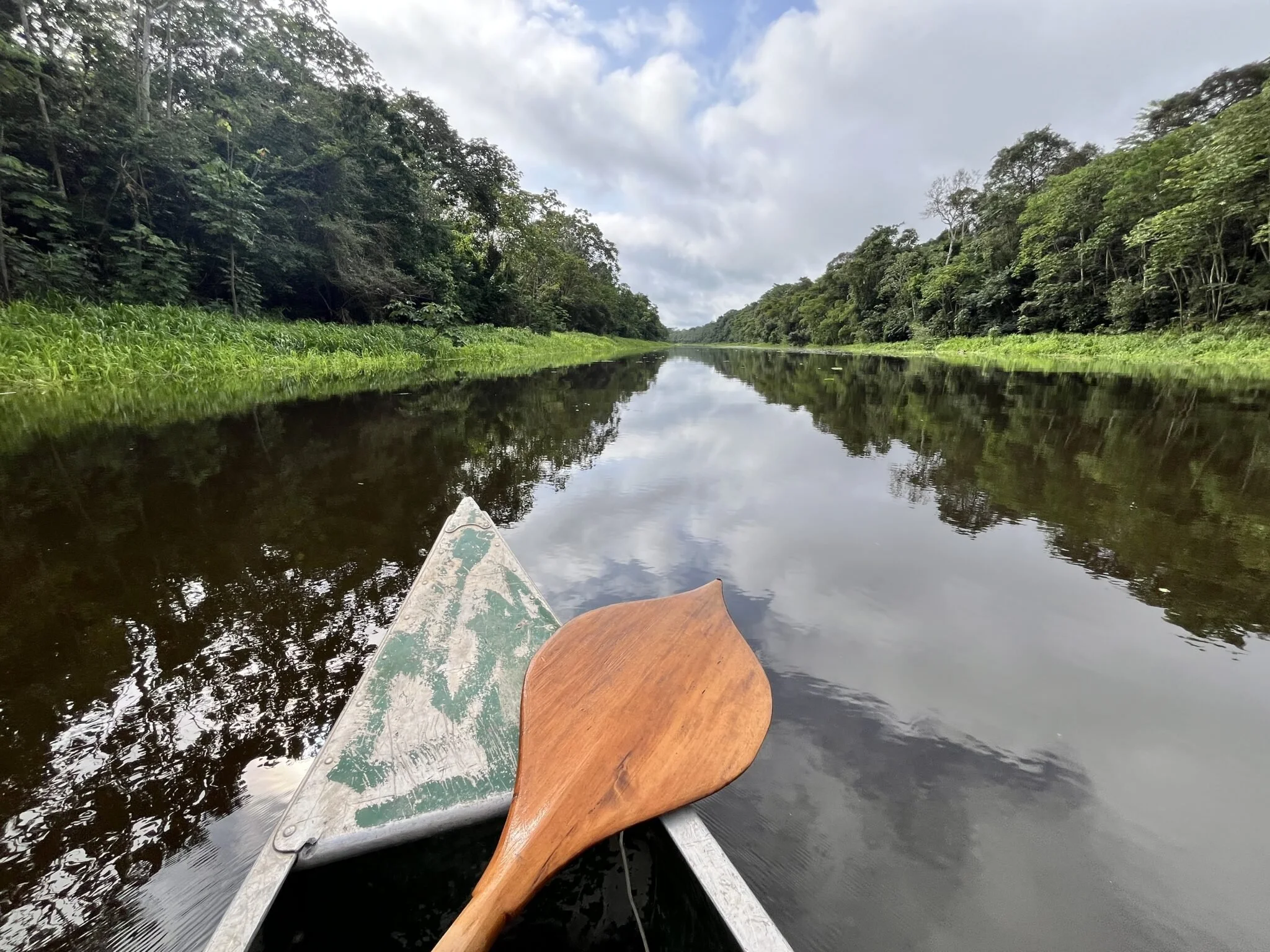 “Participatory Science: Exploring the Peruvian Amazon” with Patricia Goudvis