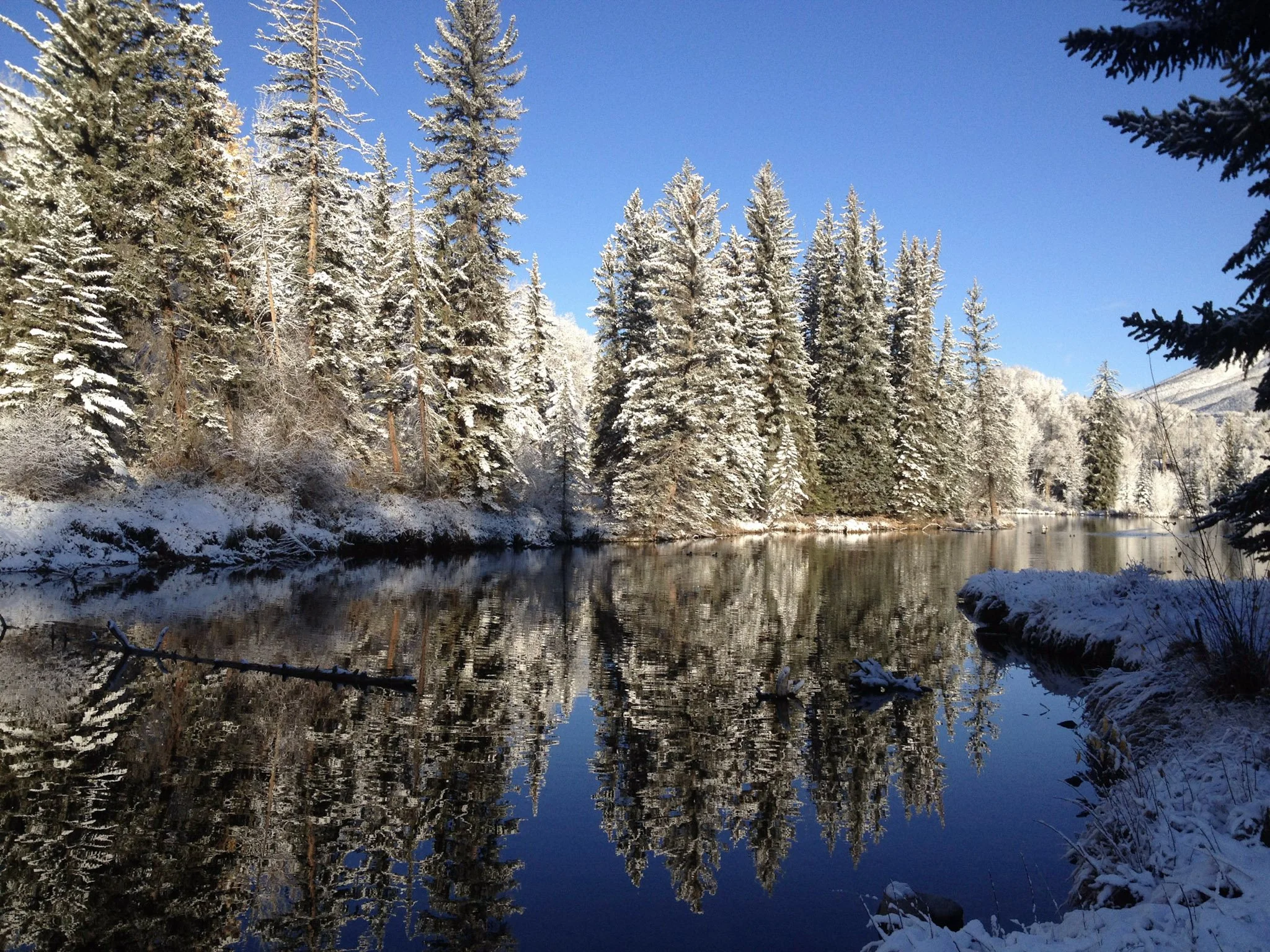 What is a Sacred Relationship with Nature?