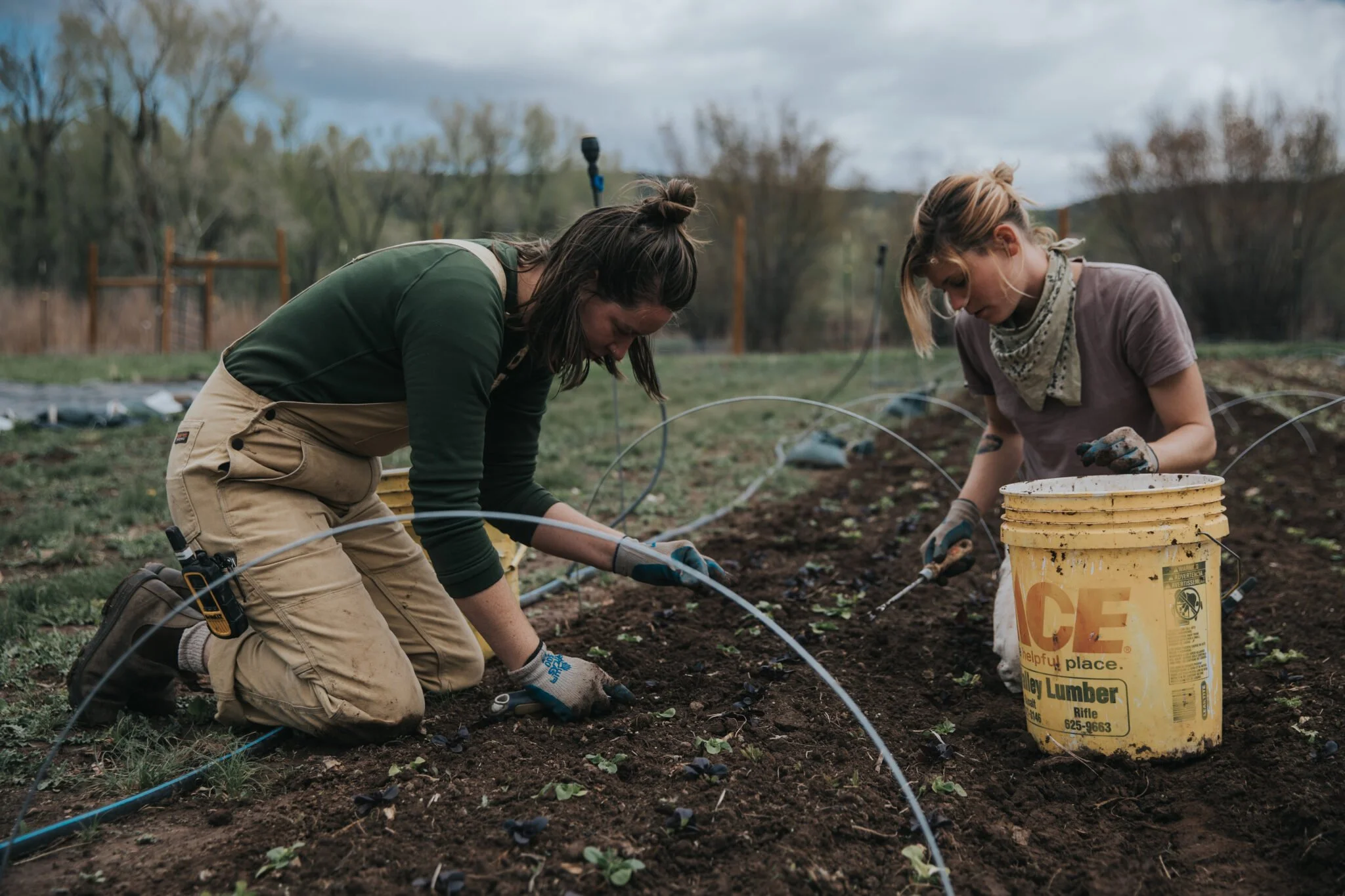 Volunteer Day at Rock Bottom Ranch