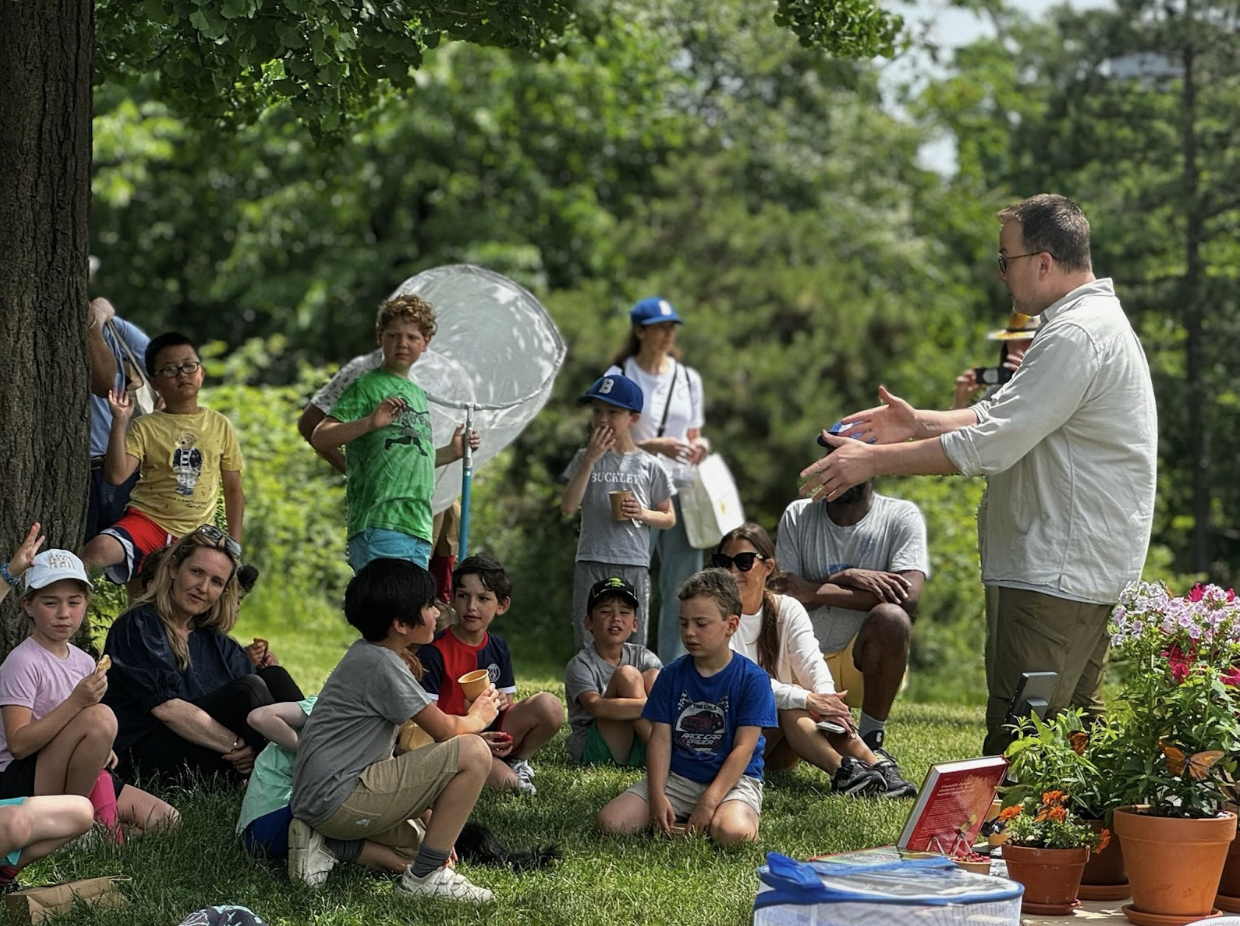 Butterfly Picnic