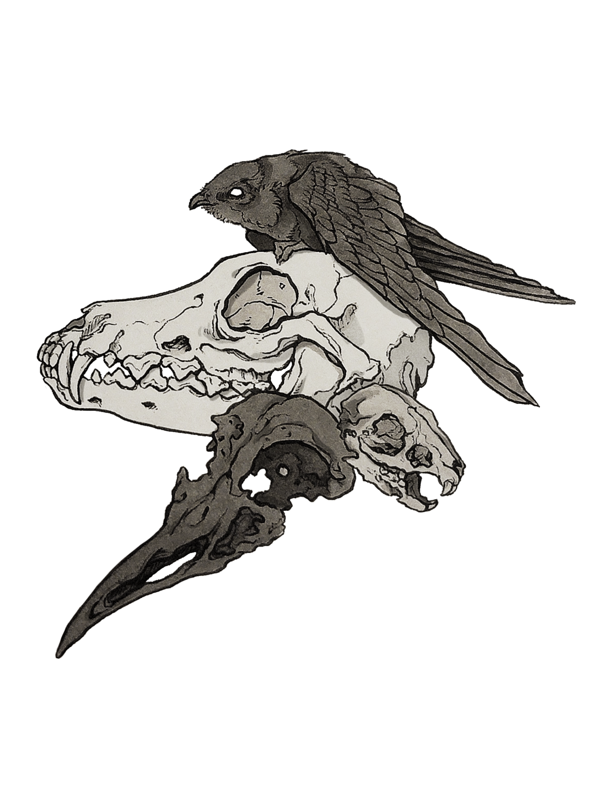 Day 14 : Skulls 