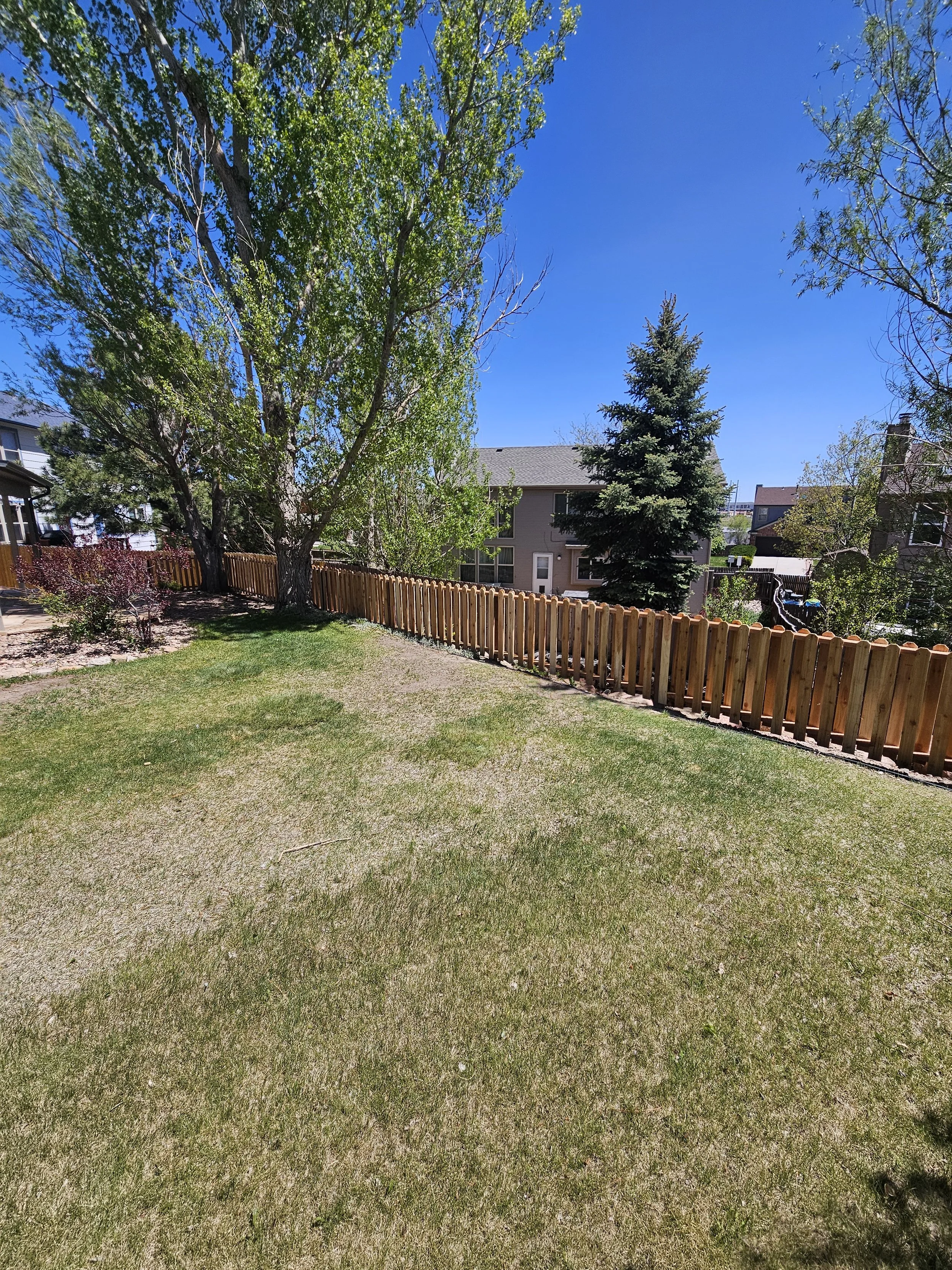 Cedar privacy fence installation in Colorado Springs backyard