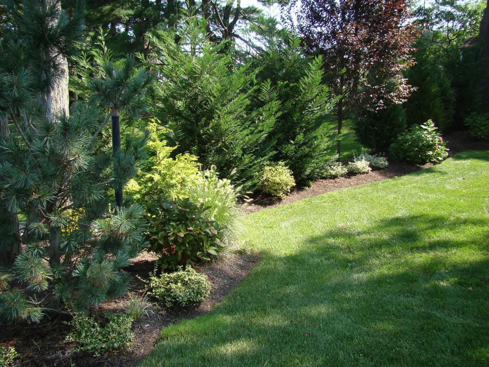 TPC Landscape Design