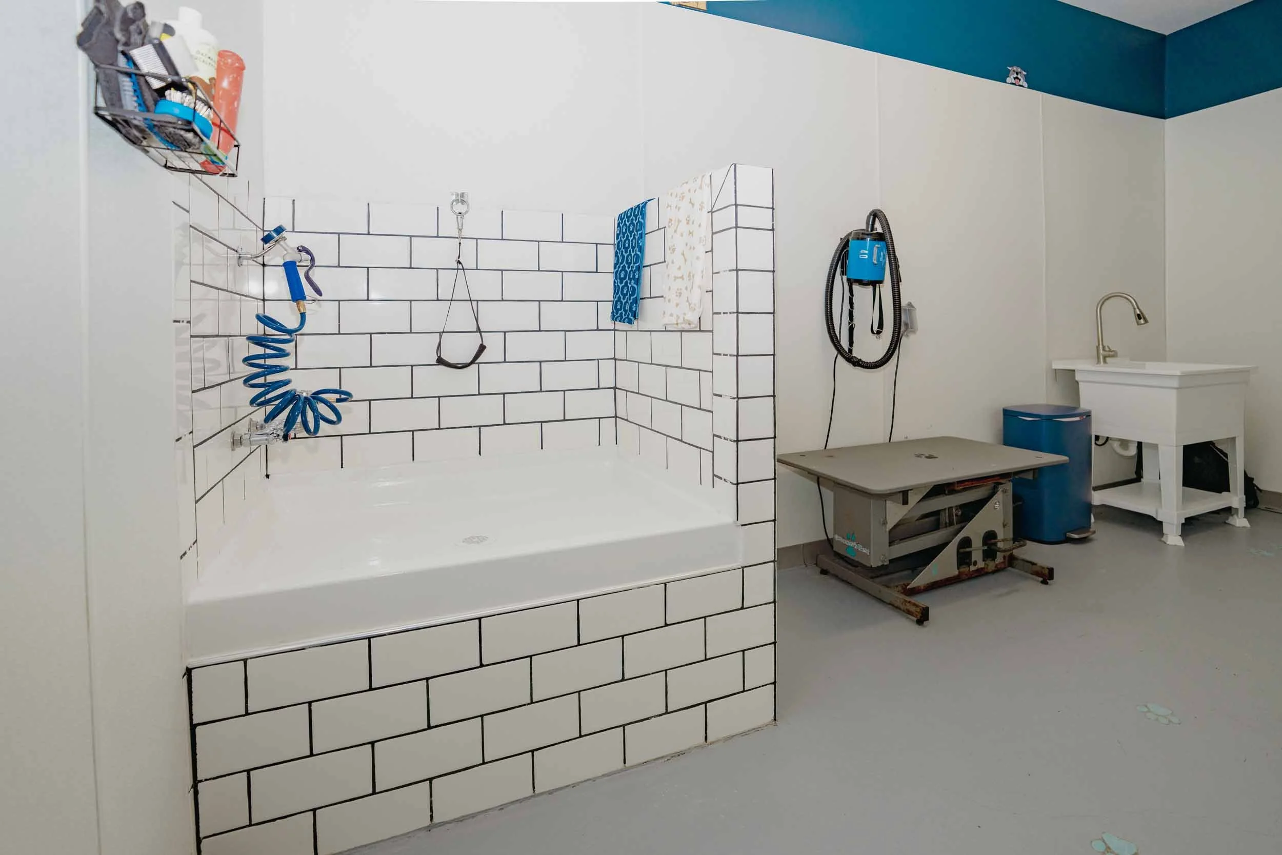 The Edison at Gordon Square | Apartments in Cleveland, OH | Dog Spa