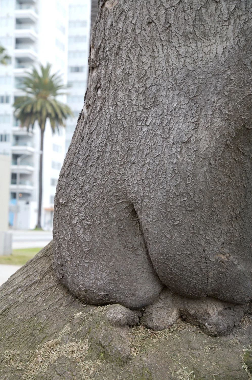 SensualLandscapes_22.jpg