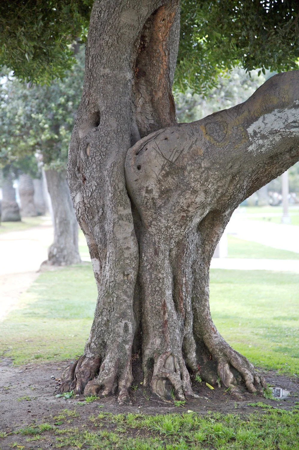 SensualLandscapes_5x.jpg