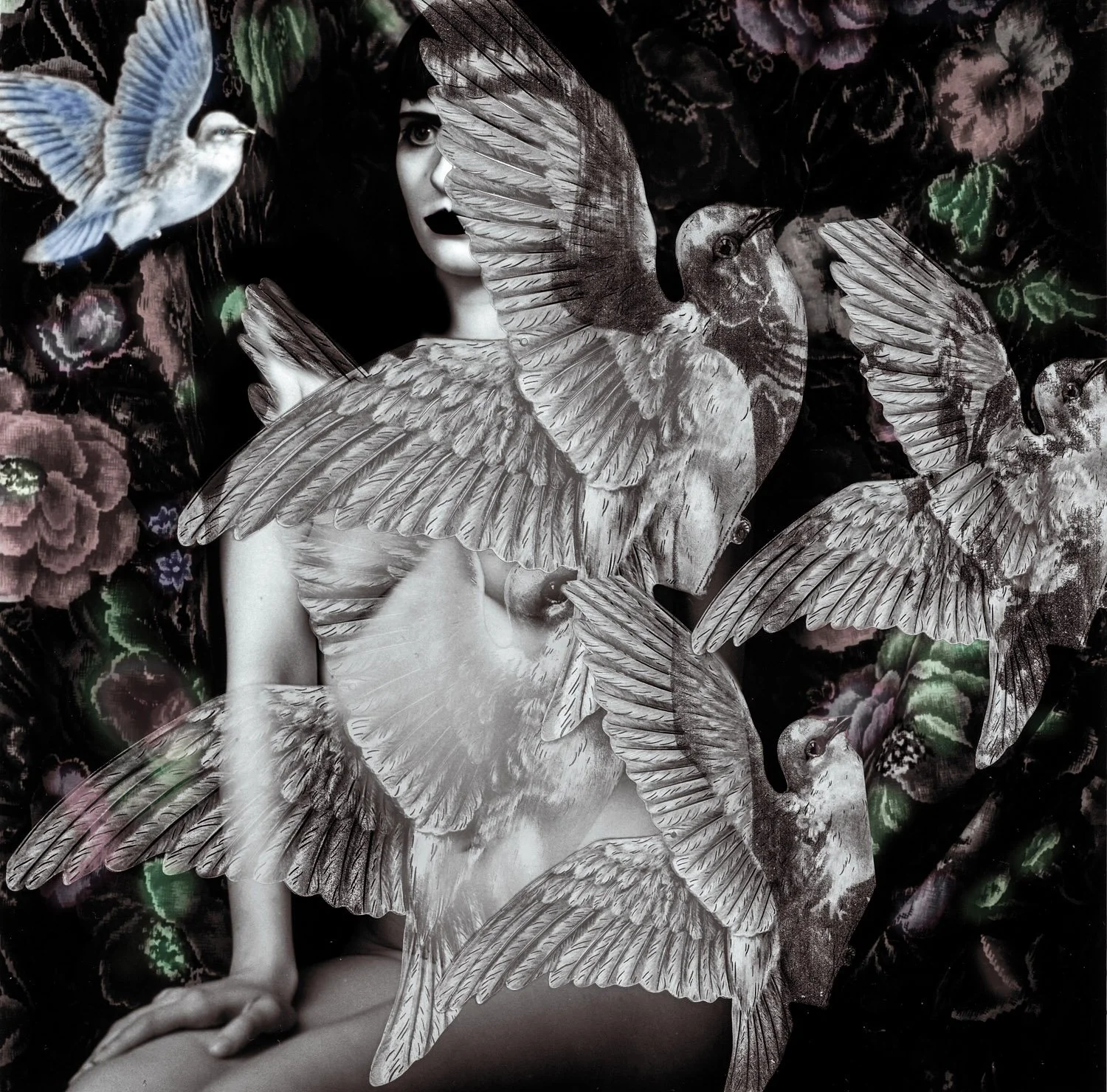 yd960319_Eva_in_paradise-Enhanced-Edit_LR.jpg