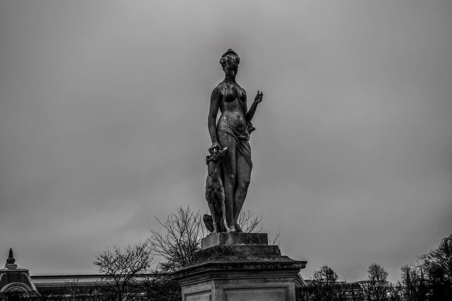 DSC08070-Edit.jpg