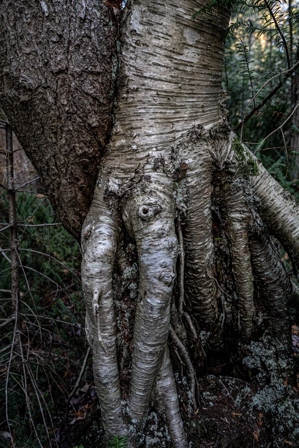 SensualLandscapes_20.jpg