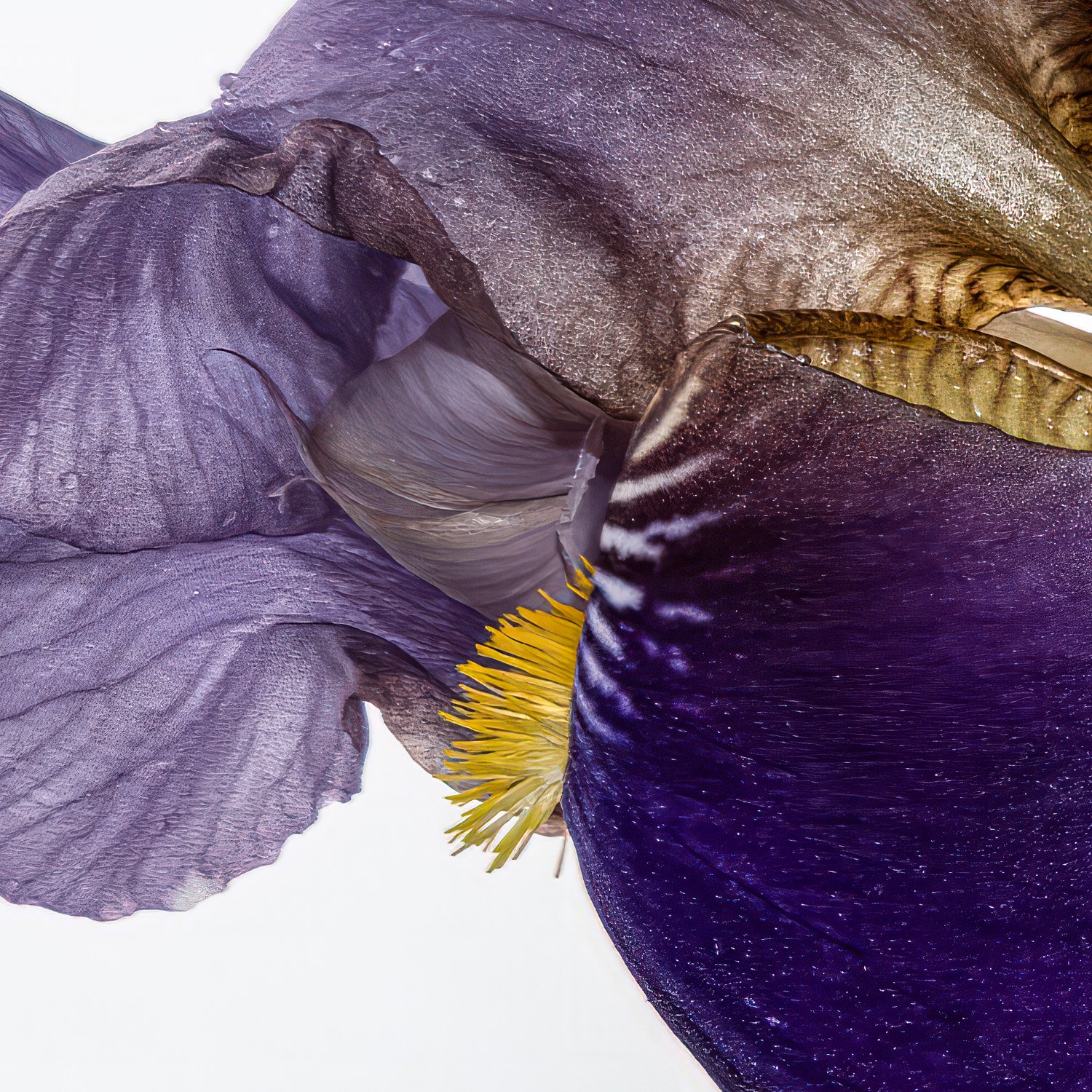 SensualLandscapes_15x.jpg