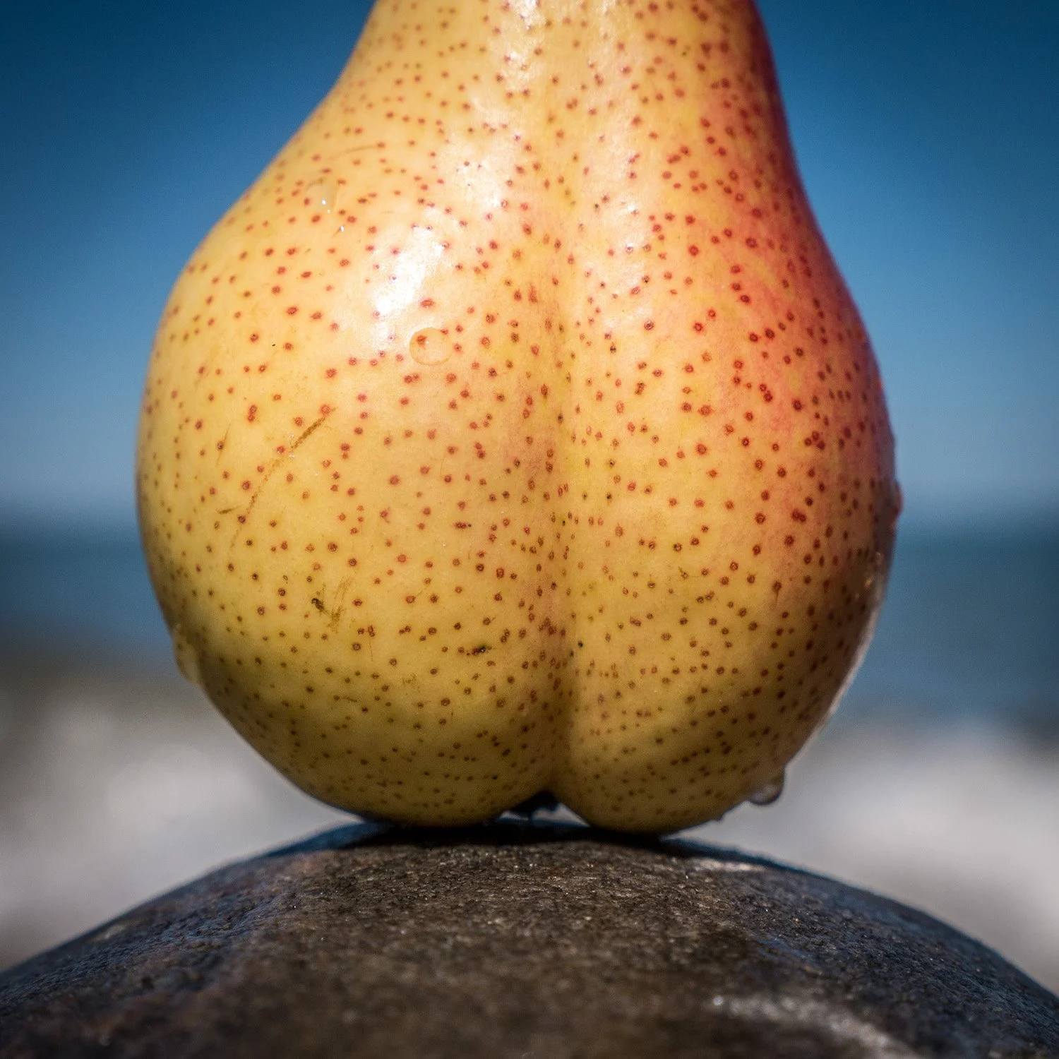 SensualLandscapes_11x.jpg