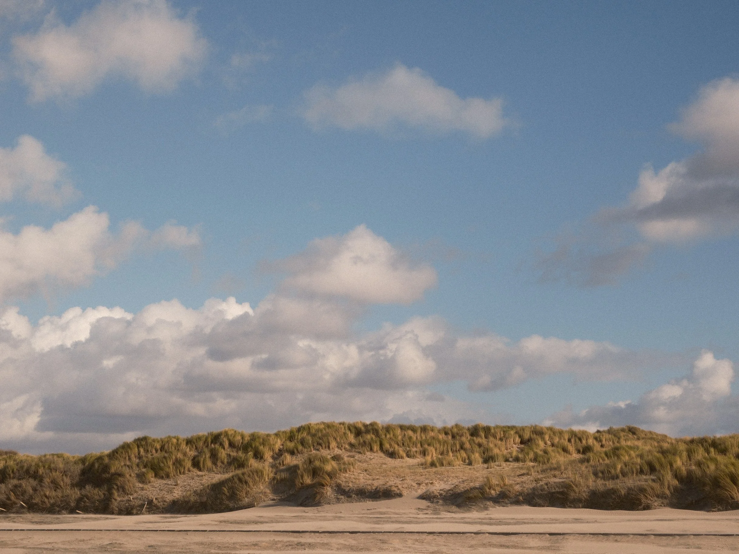 What our brains allow the world to be