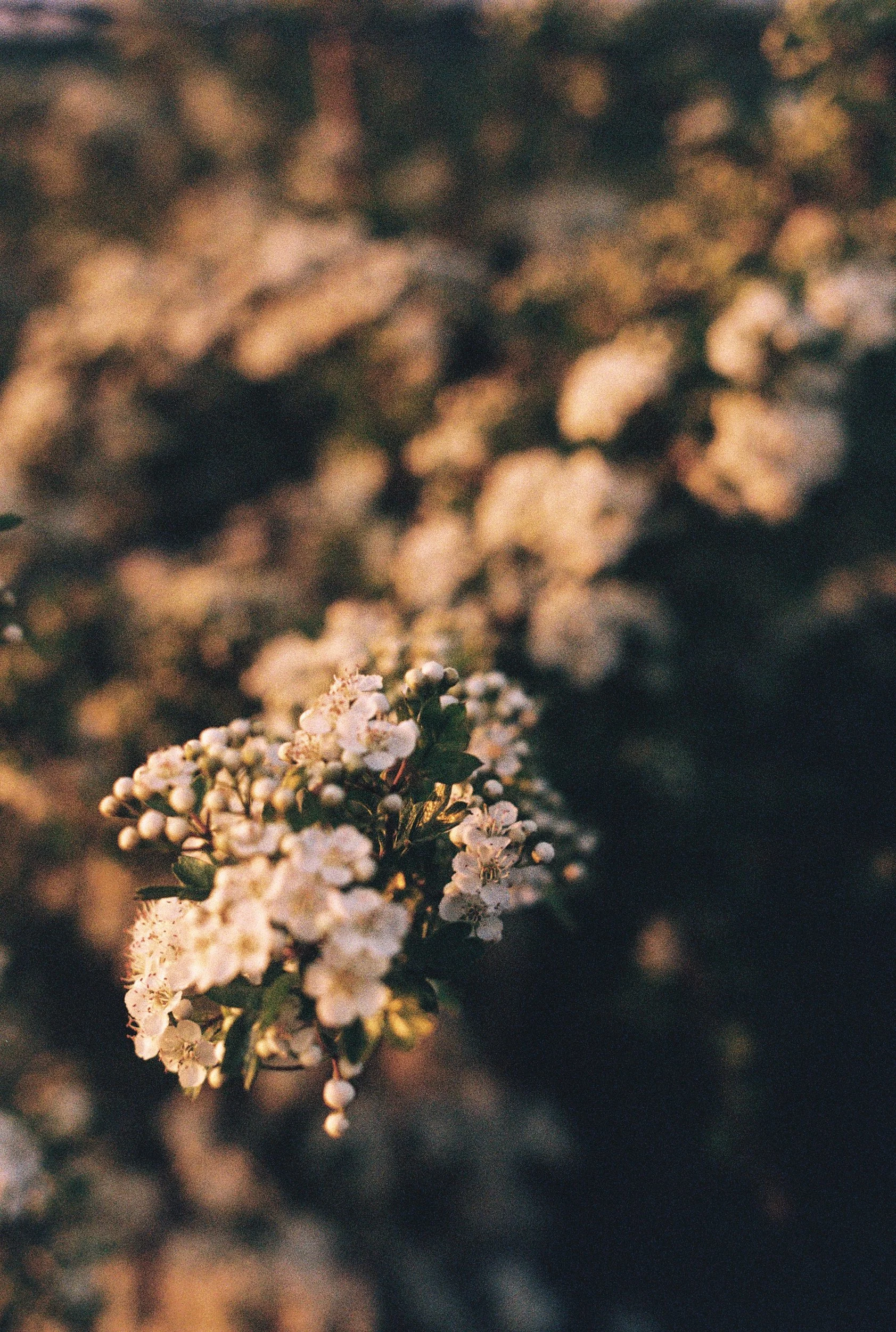 R1-05223-0009.png