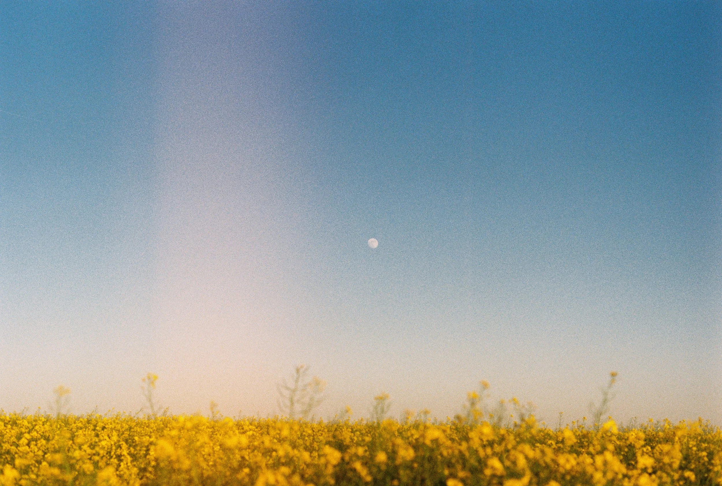 The art of noticing