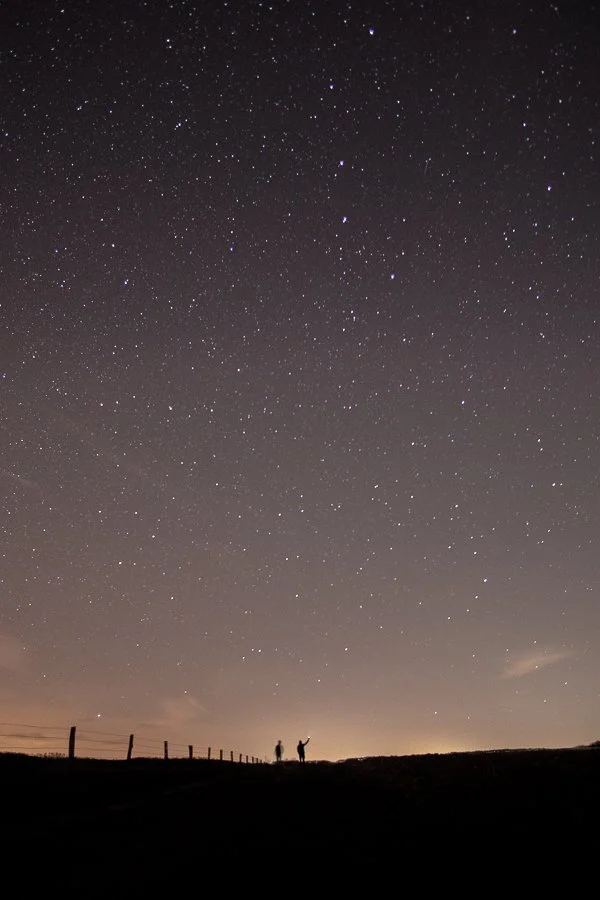 Friends in corn field looking up at the night sky