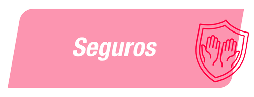 Seguros