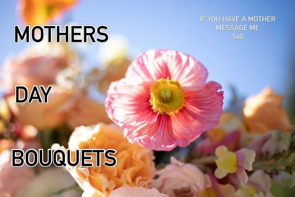 I will have bouquets for those in the Tofino area that want a little something for the mothering types in their lives. Moms work hard and are super cool so would recommend doing something for them this weekend 🤪

$40, message me 🙌