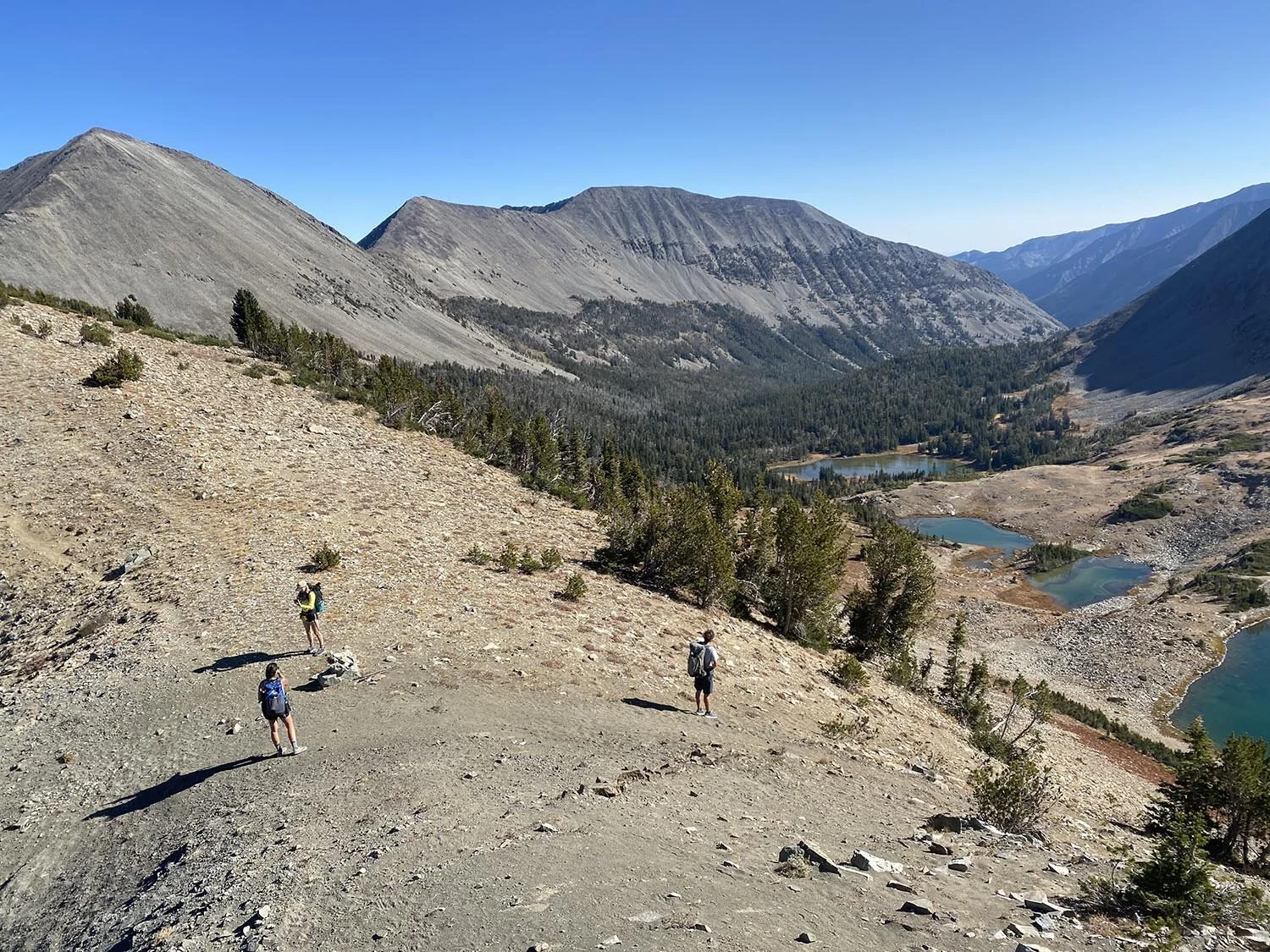 Adult Imposter Syndrome: What’s the “Right” Way to be Doing This?