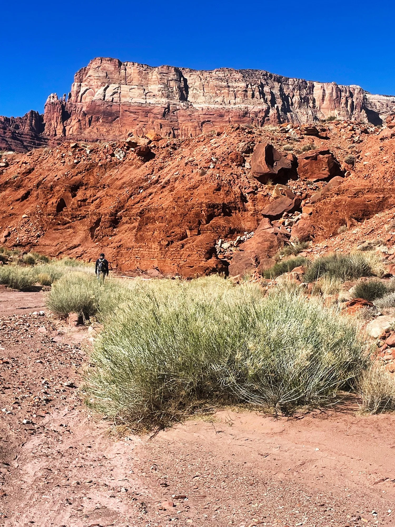 A hiker walking up an open wash towards tall red cliffs in Upper Cathedral Wash
