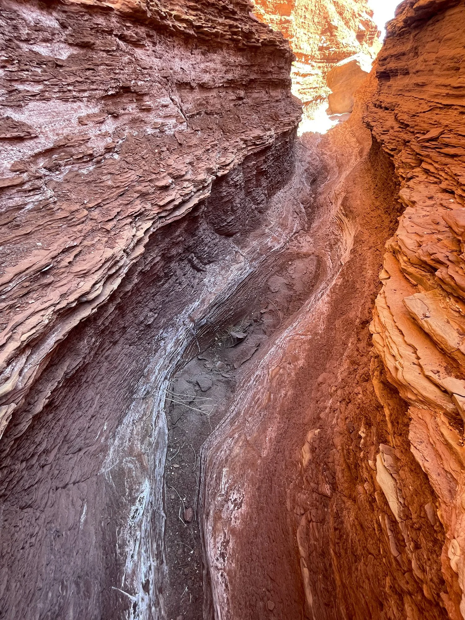 Narrow wash bottom with layers of thin ledges on each side in Upper Cathedral Wash