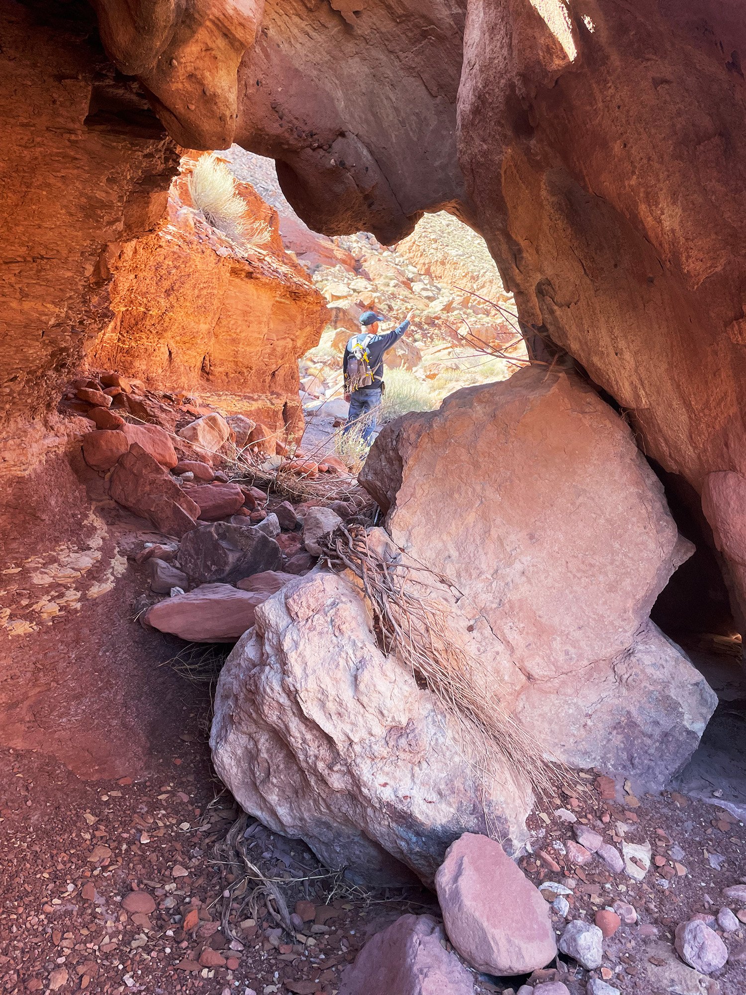 A hiker behind a small window arch in the sandstone along Upper Cathedral Wash Trail