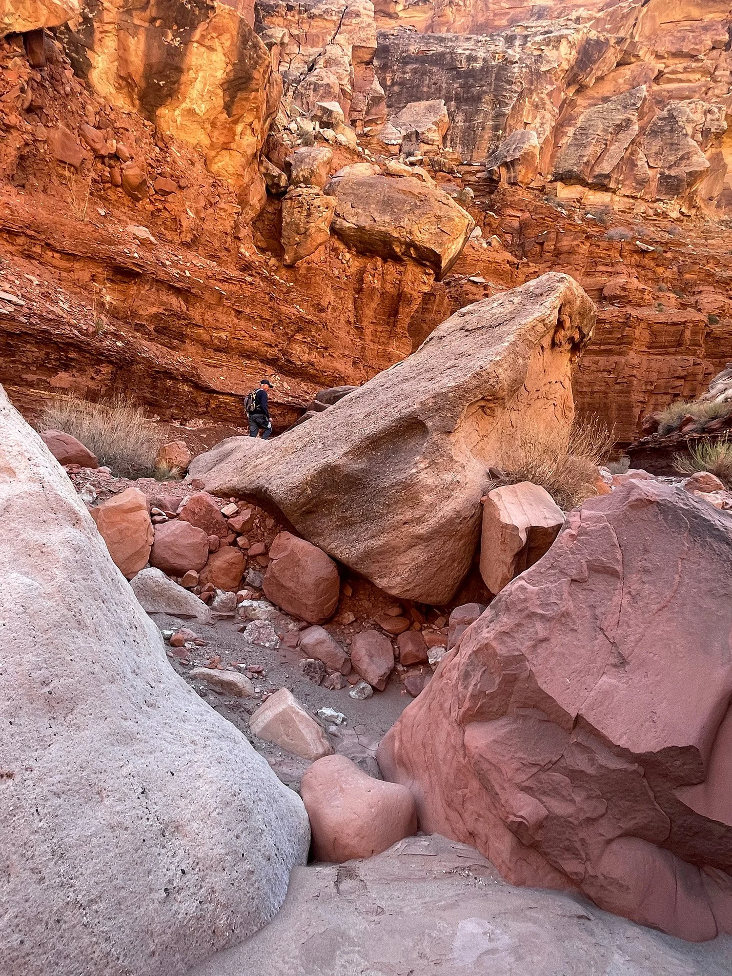 A hiker walking behind a large rock in the Cathedral Wash canyon bottom