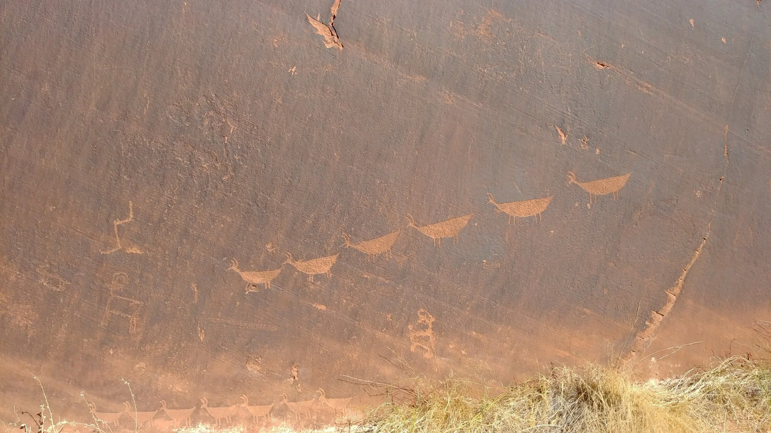 Petroglyph in red desert varnished sandstone wall of many sheep 
