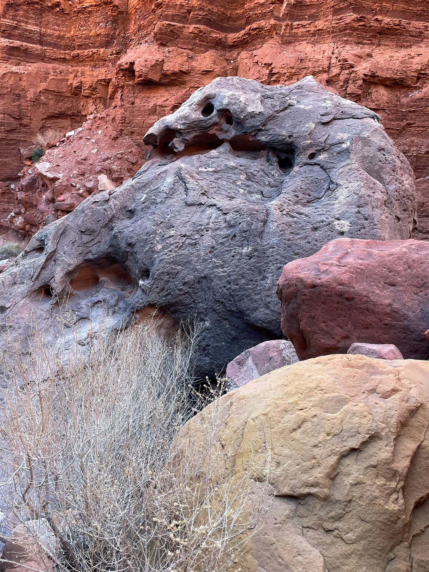 Interestingly shaped rock formation along Upper Cathedral Wash Trail