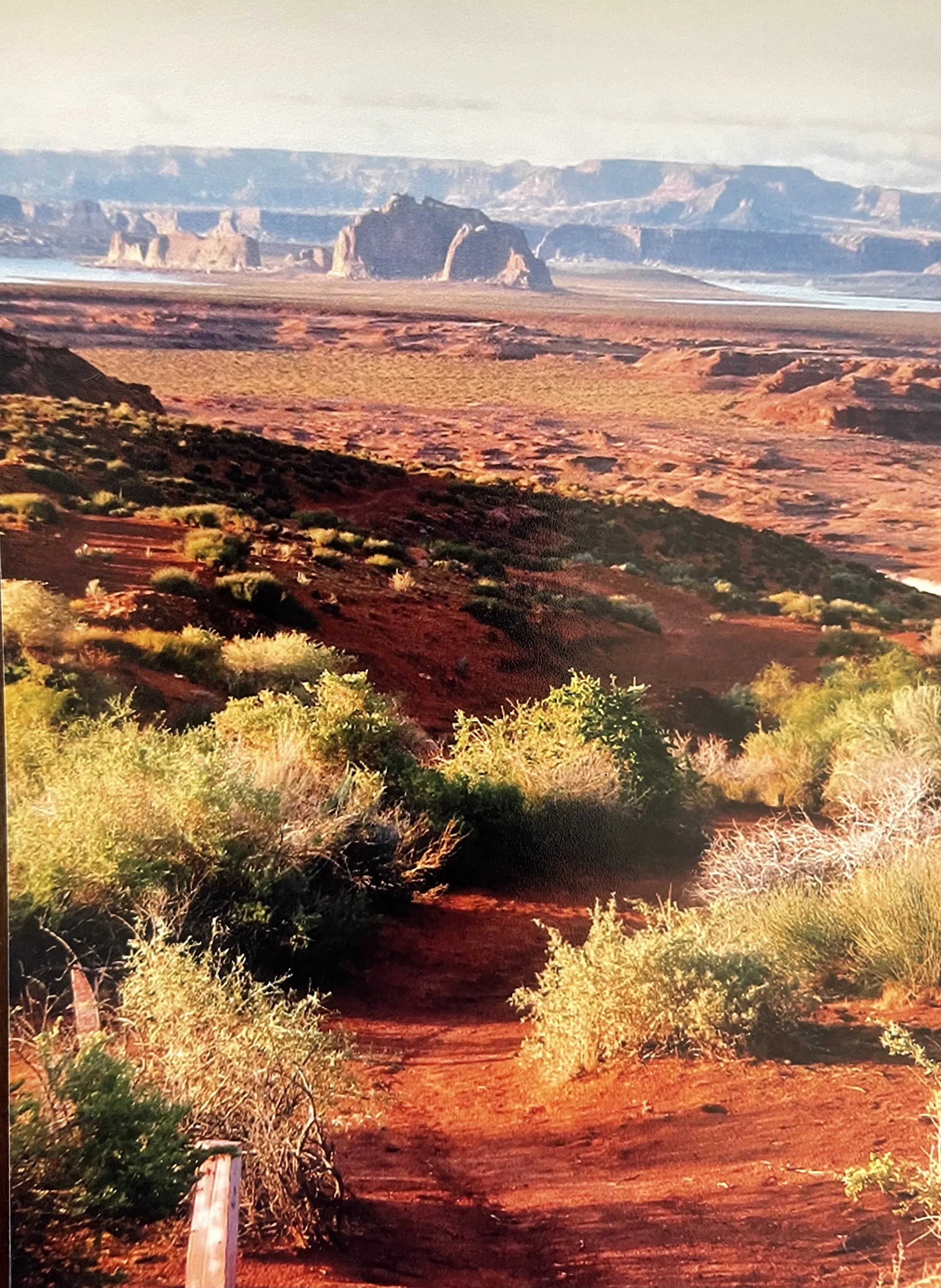 Red desert scenery with sand dunes and sandstone. Lake Powell in the distance.