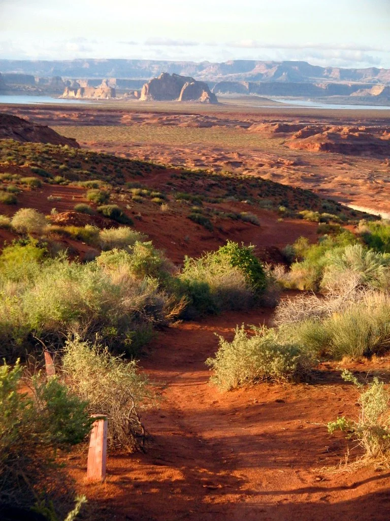 Page Rim Trail sandy tread through bushes with Lake Powell and buttes in the distance
