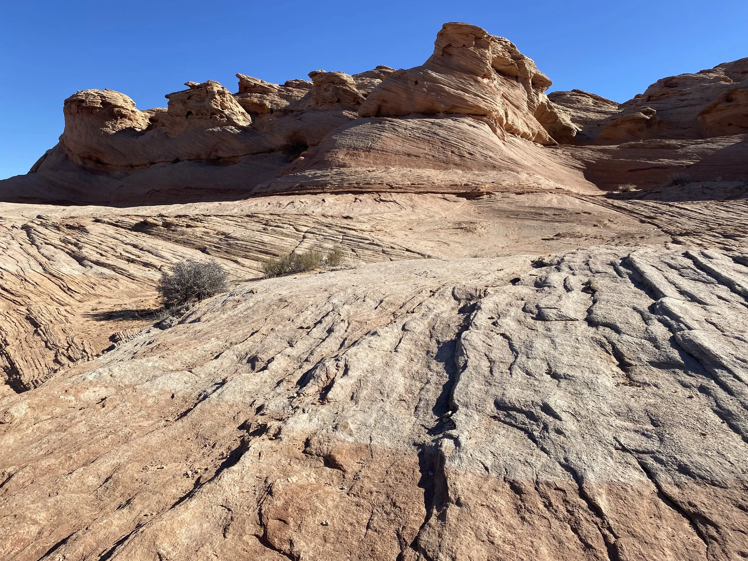 Sandstone outcrops on Beehive Trail